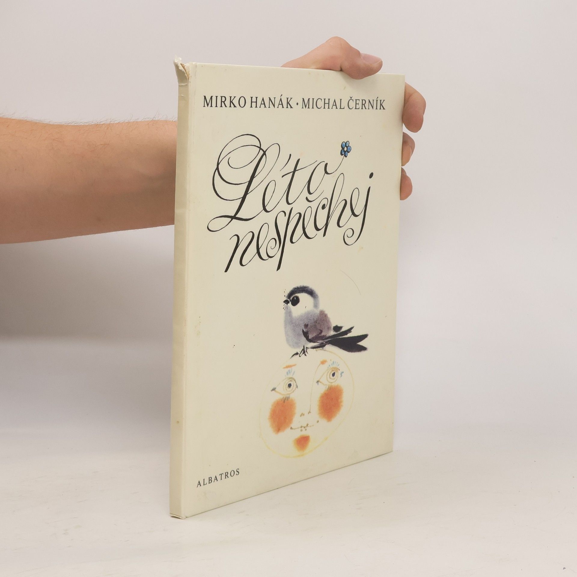 Michal Černík Léto nespěchej