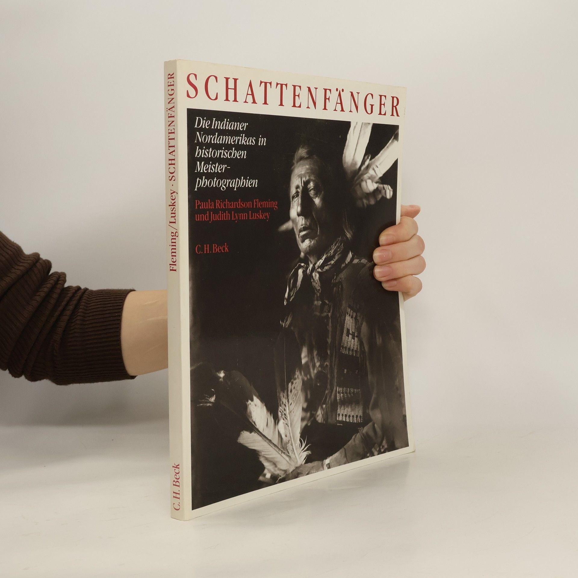 Paula Richardson Fleming Die Schattenfänger