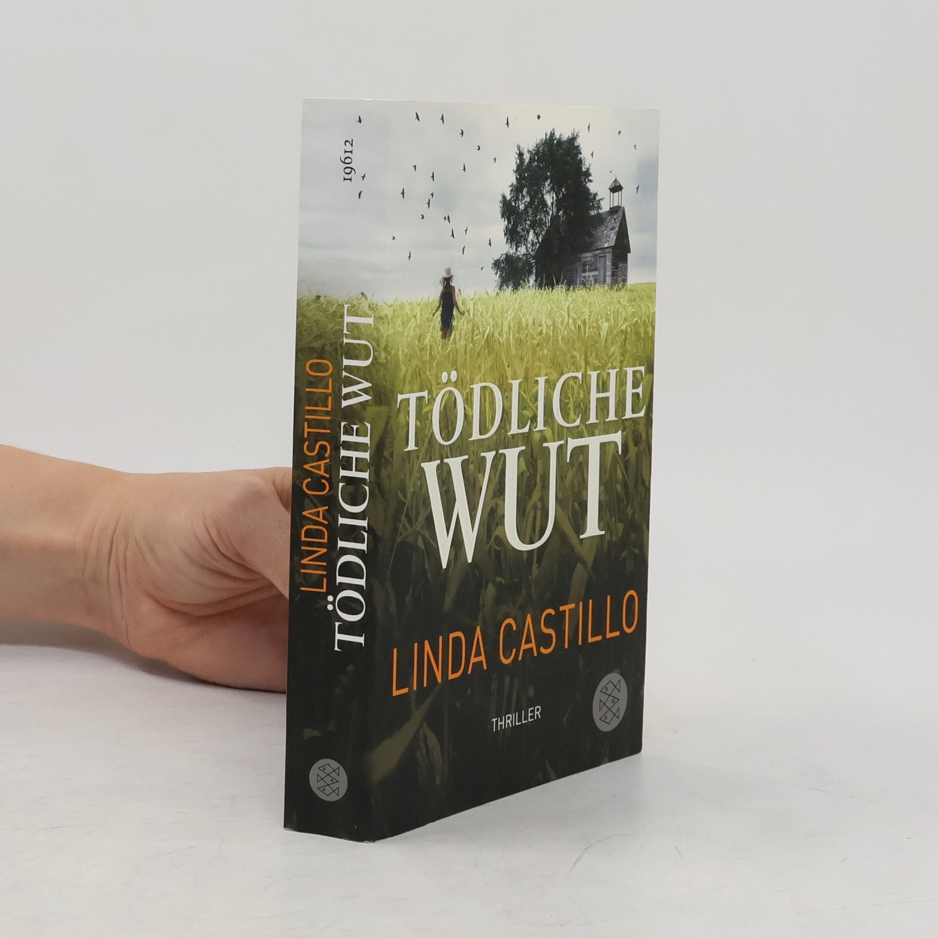 Linda Castillo Tödliche Wut