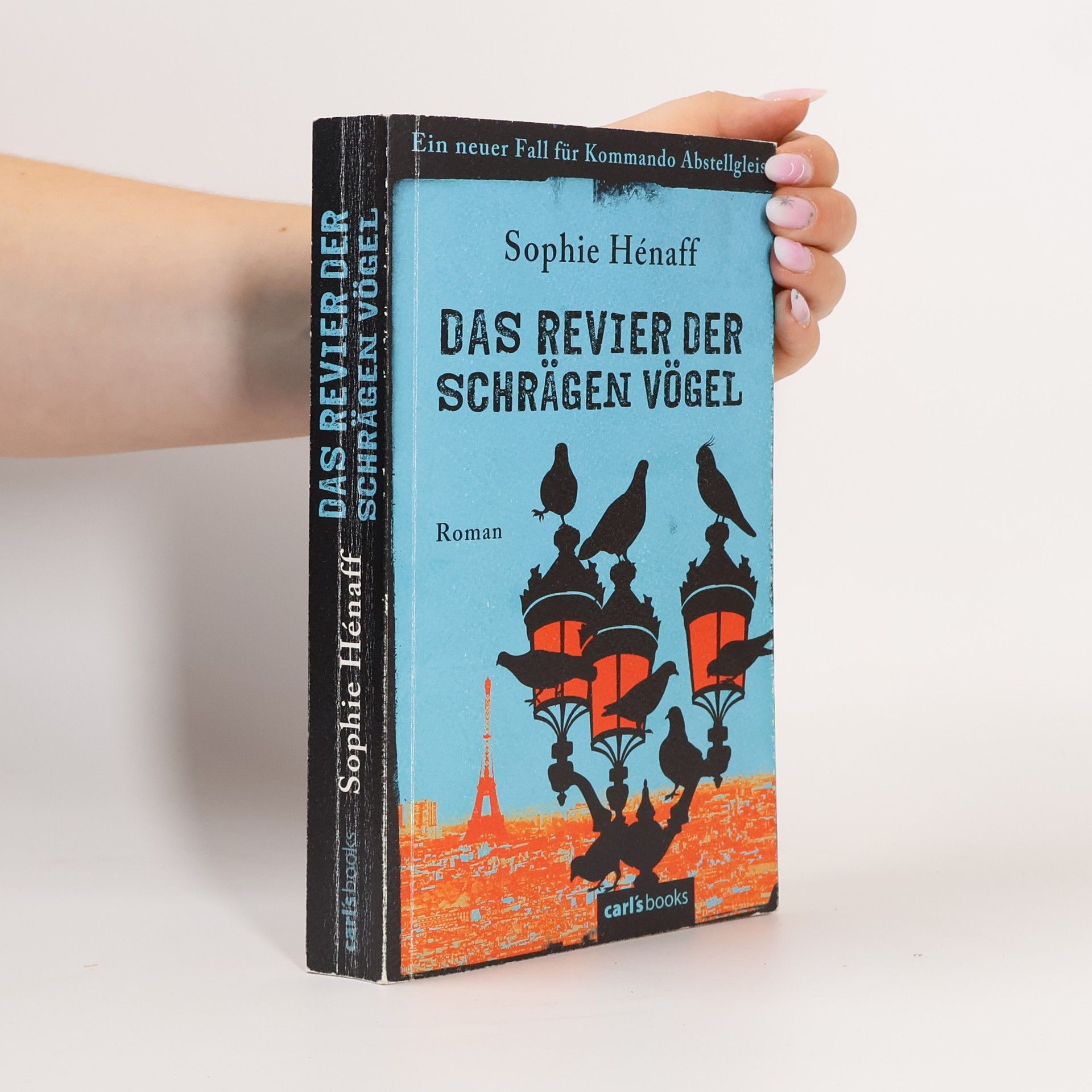 Sophie Hénaff Das Revier der schrägen Vögel