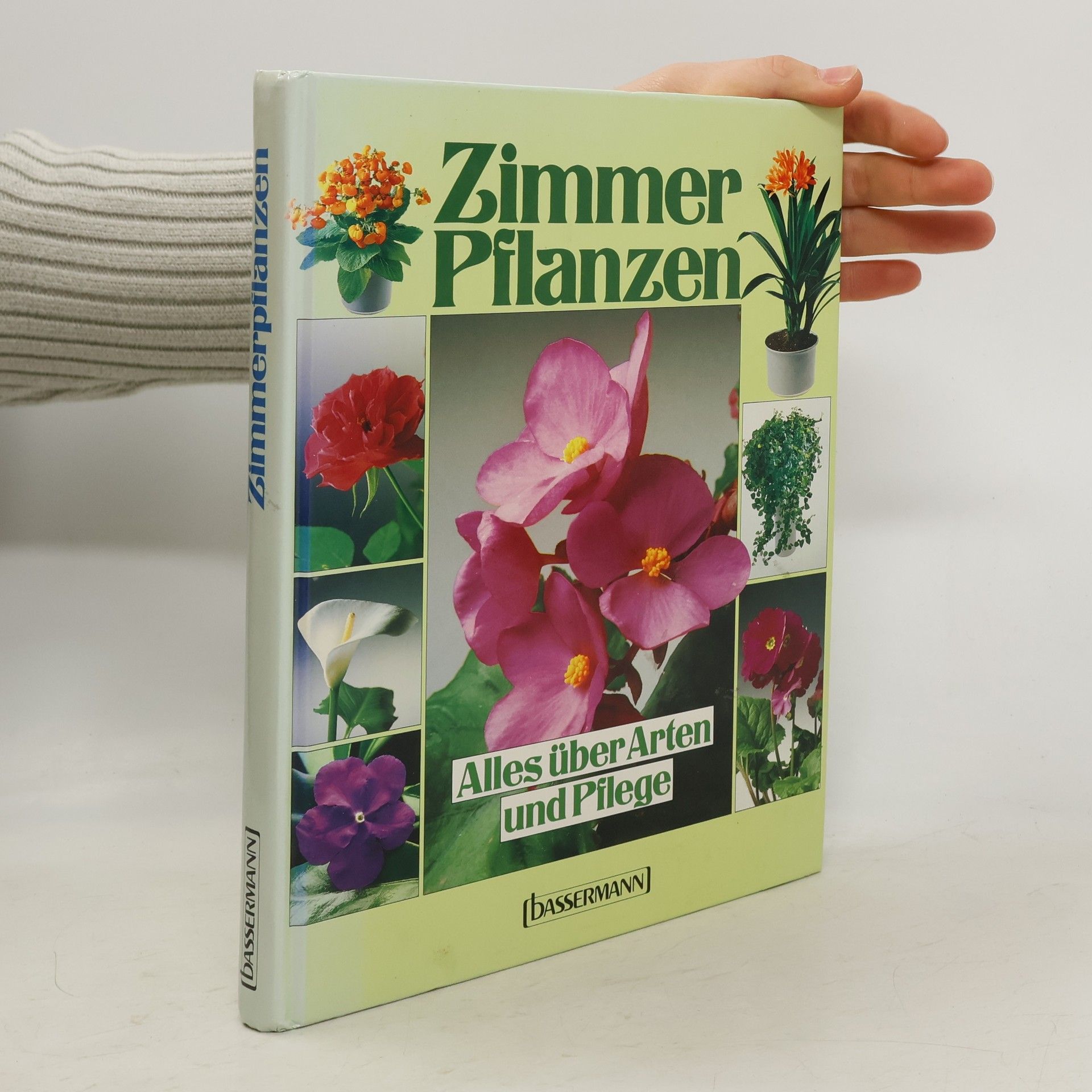 Notger Kiesel Zimmerpflanzen