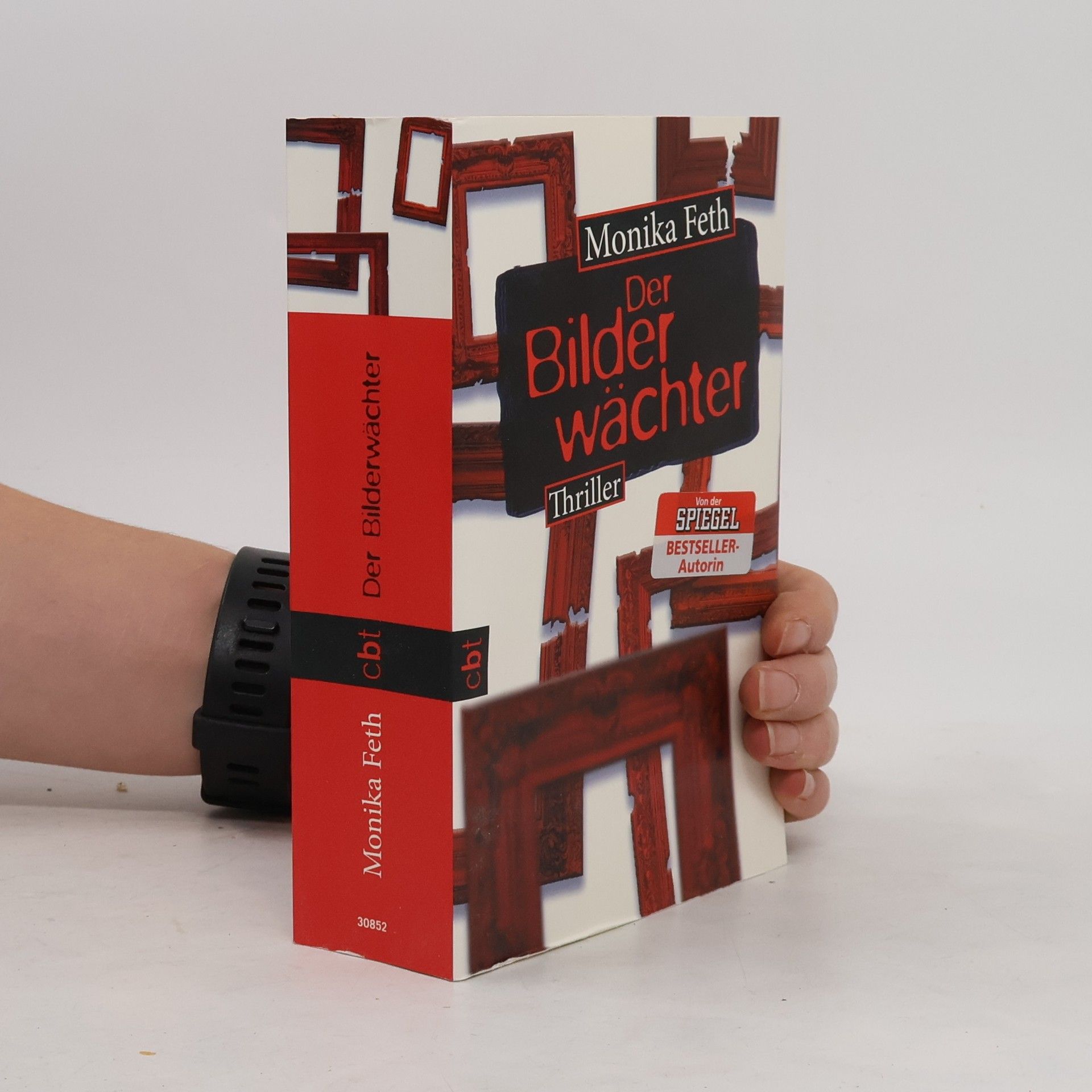Monika Feth Der Bilderwächter