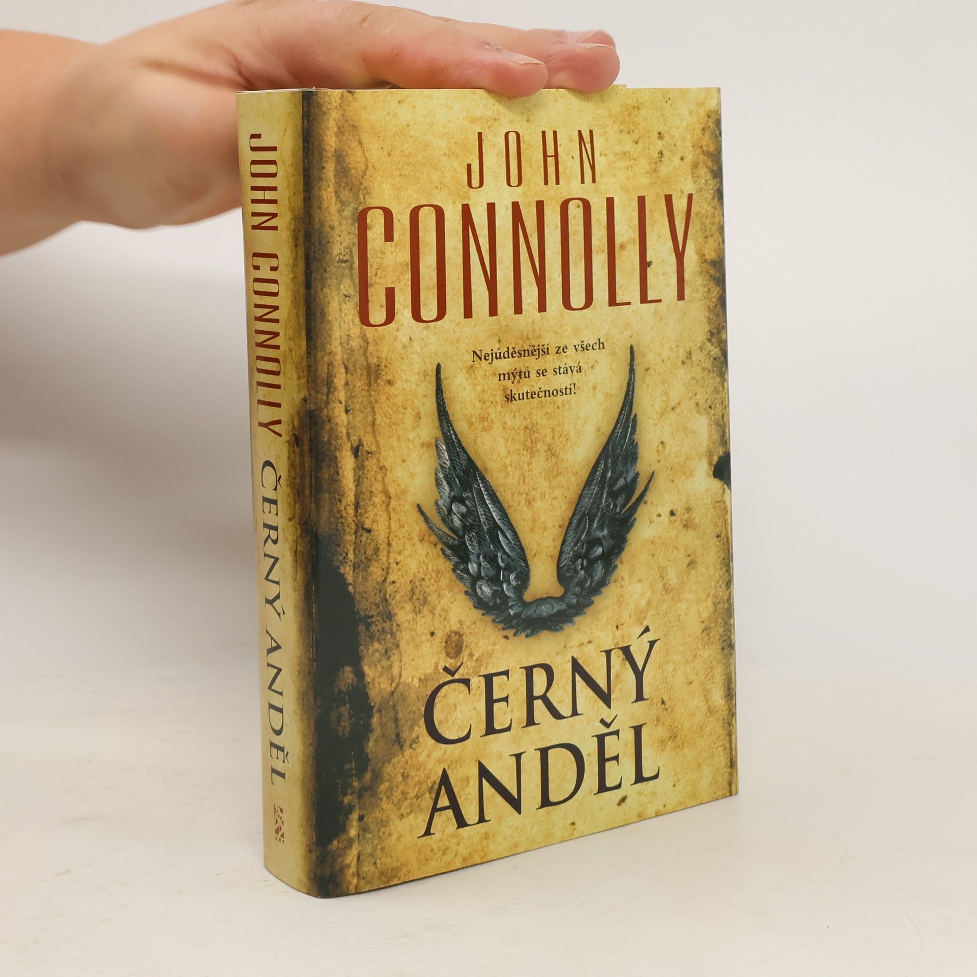 John Connolly Černý anděl