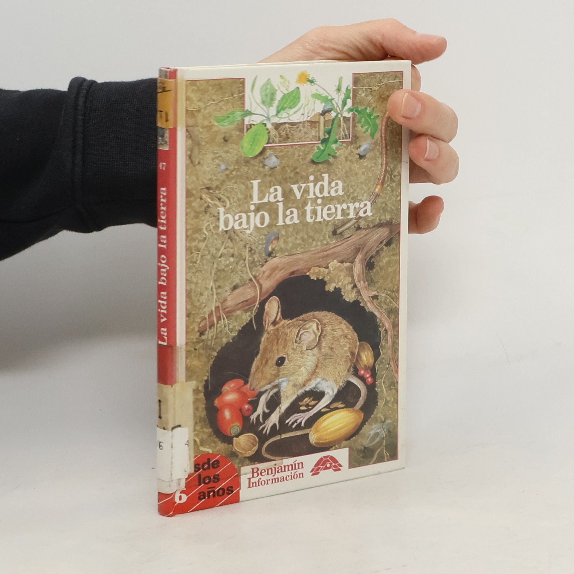 Charlotte Ruffault La vida bajo la tierra