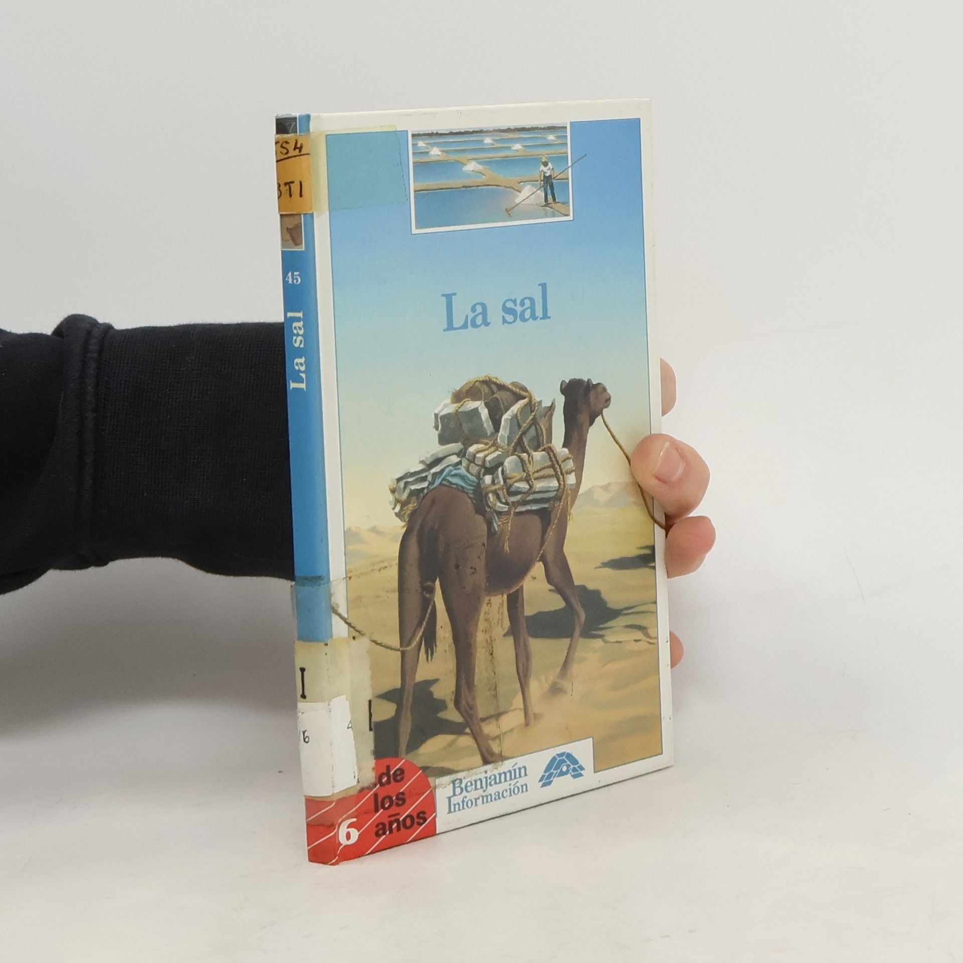 Dominique Joly La Sal