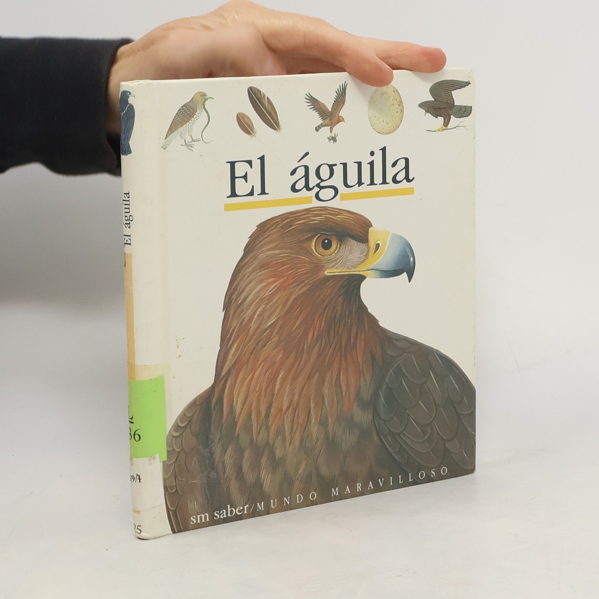 Collectif d'auteurs El águila
