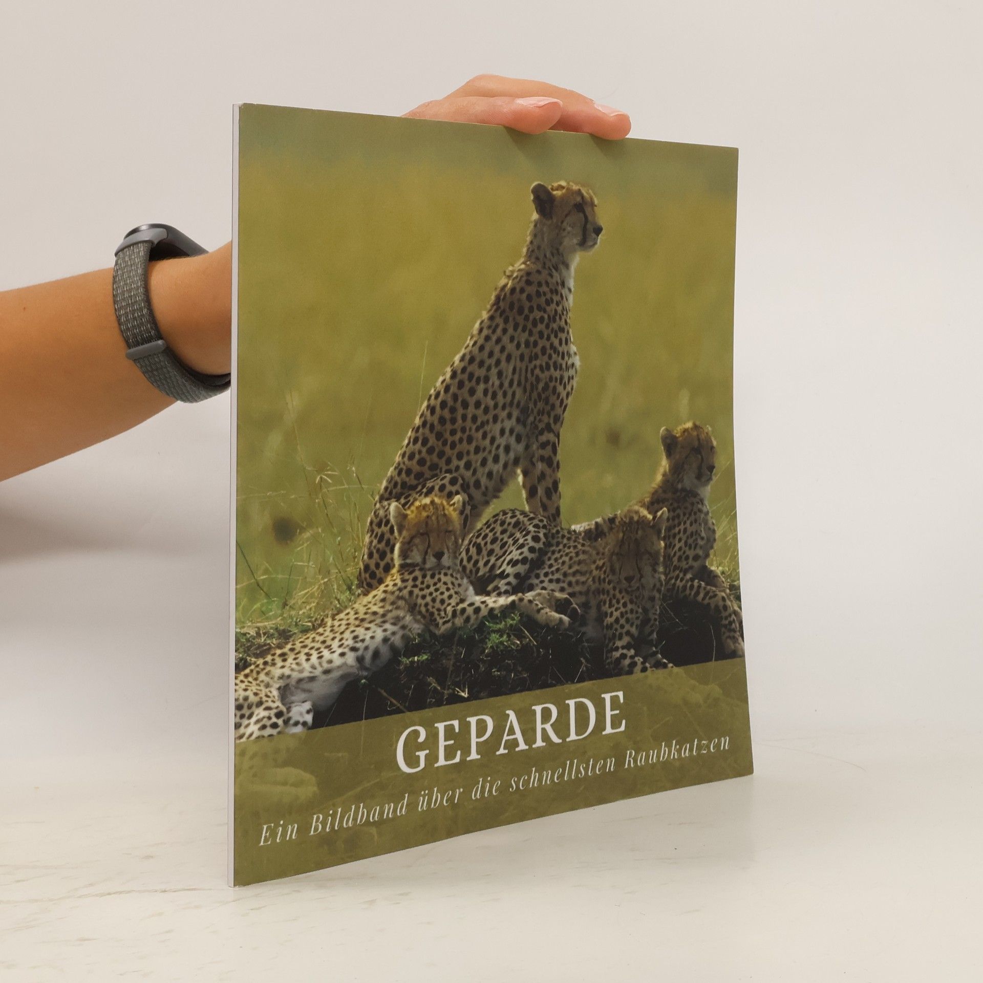 Bibi Hübsch Geparde