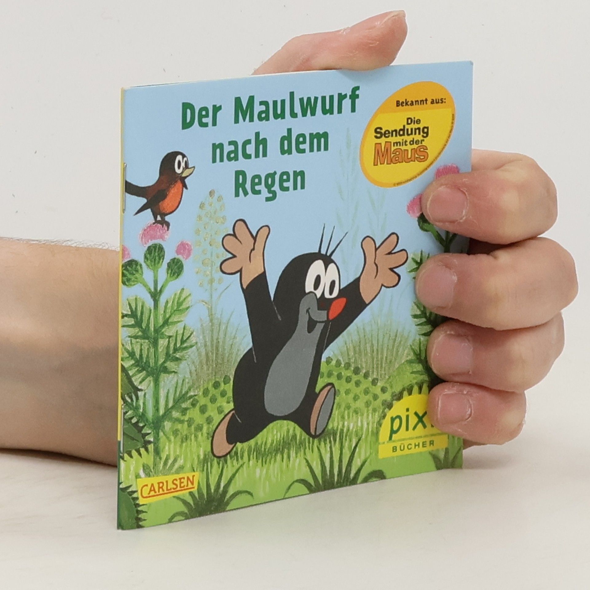 Collectif d'auteurs Der Maulwurf nach dem Regen