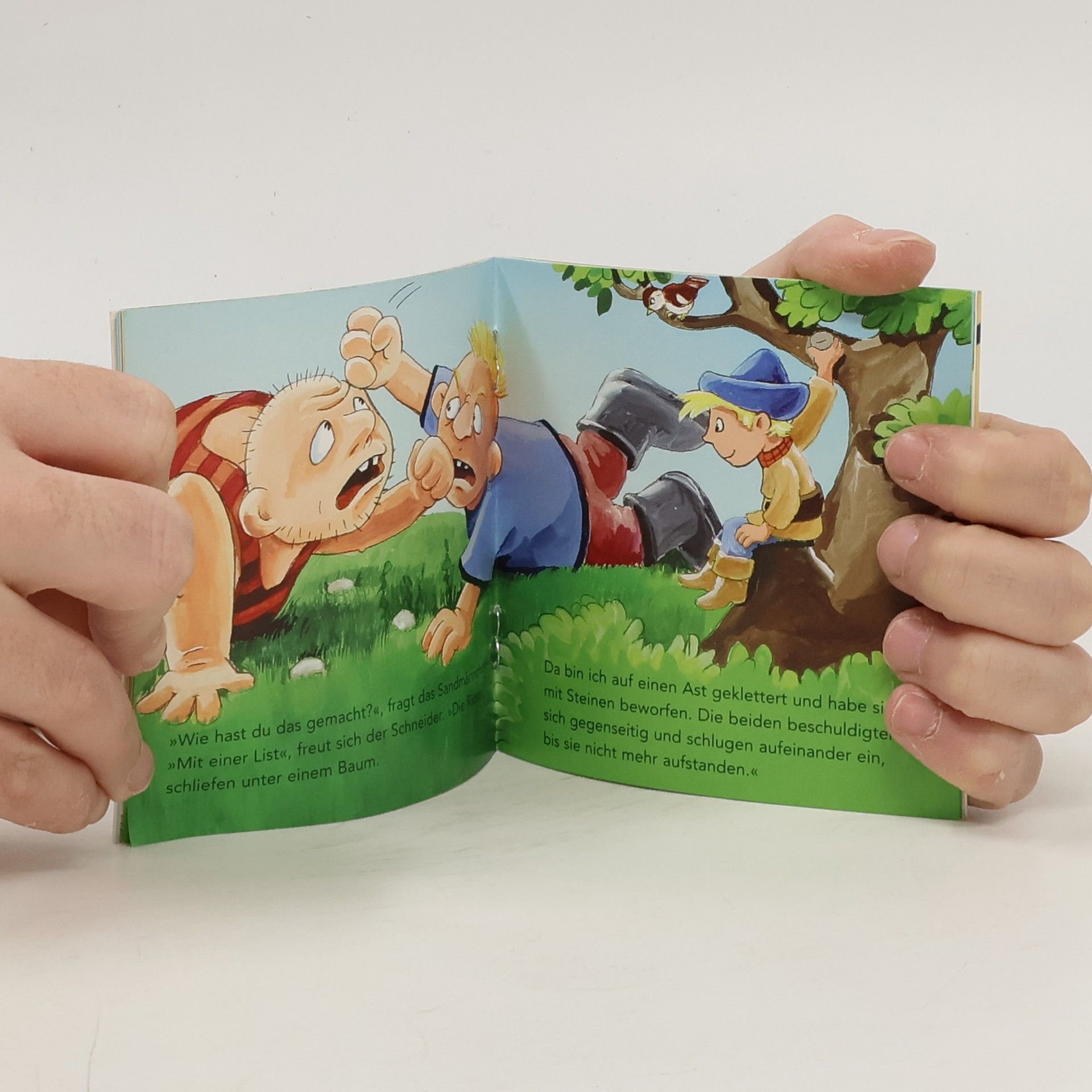 Autorenkollektiv Das Sandmännchen reist nach Grönland