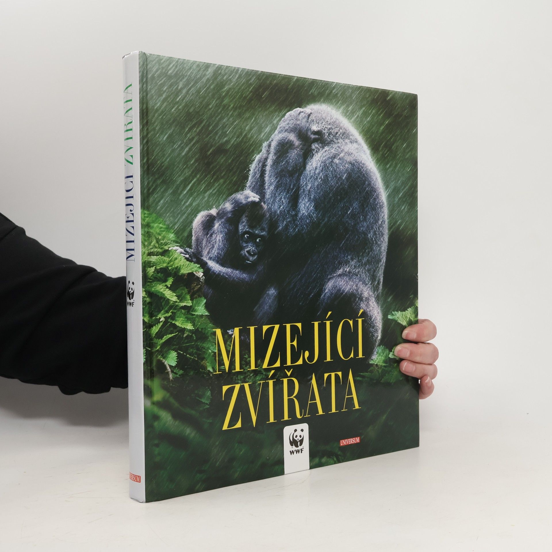 Valeria Manferto De Fabianis Mizející zvířata