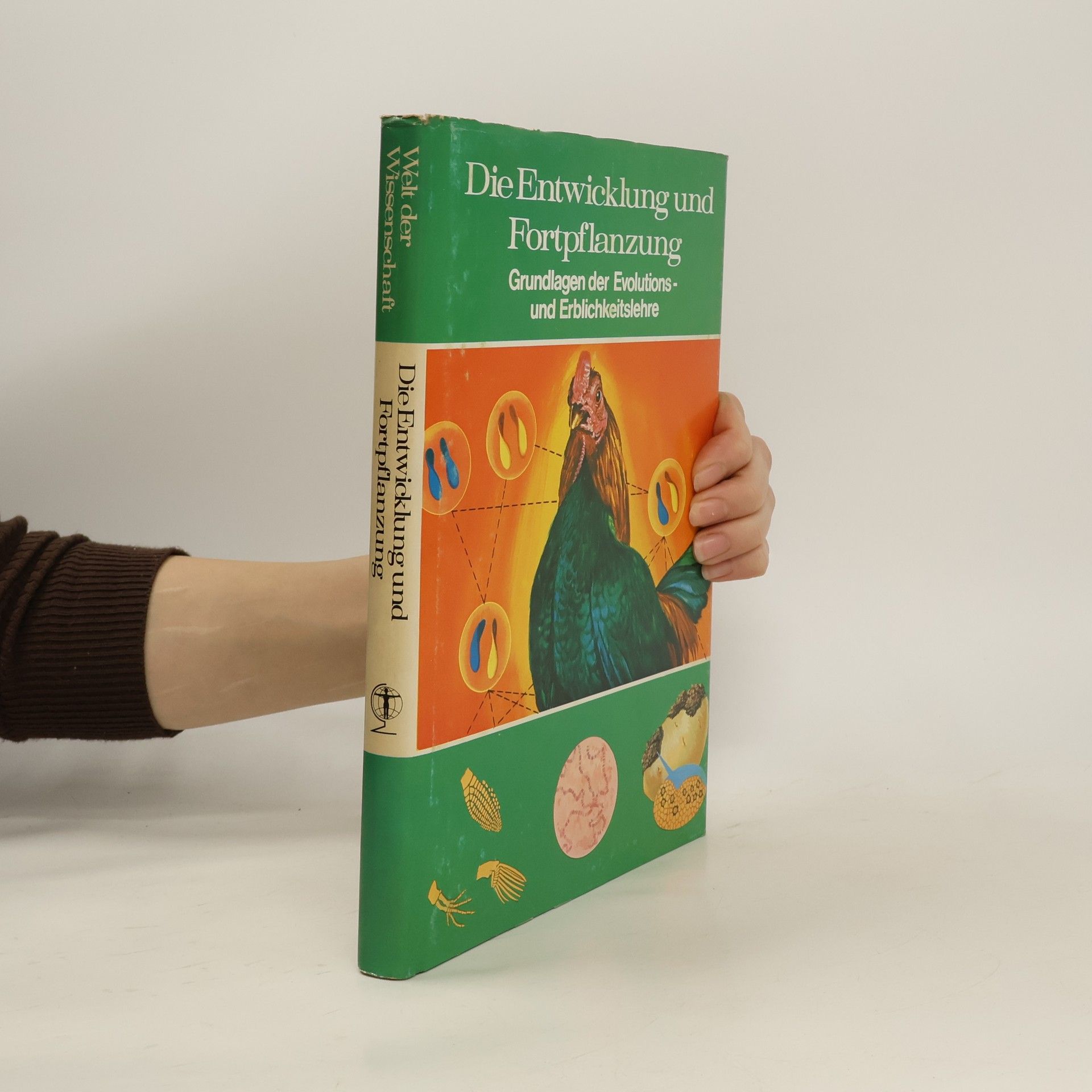 AA.VV. Die Entwicklung und Fortpflanzung