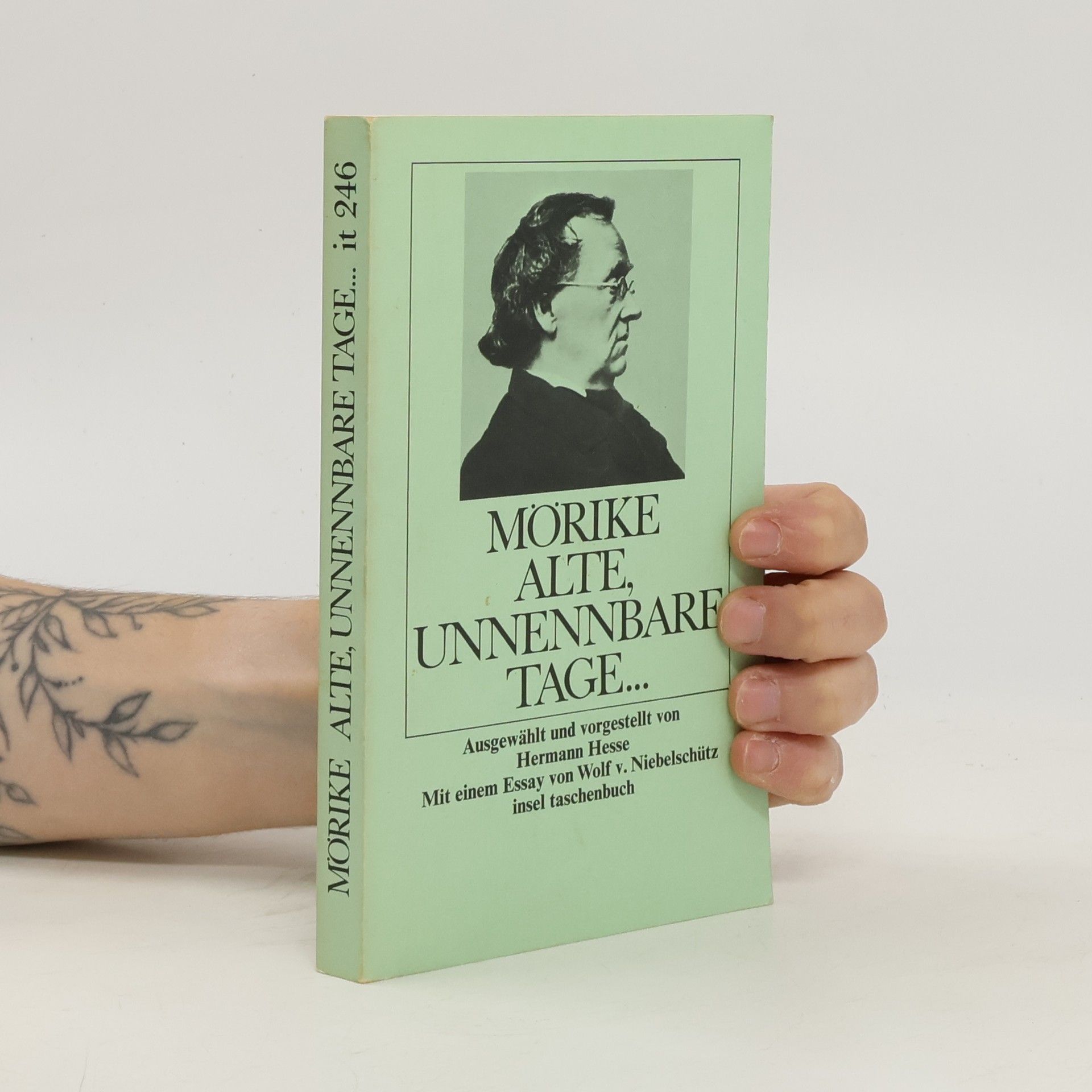 Autorenkollektiv Mörike Alte unnennbare Tage