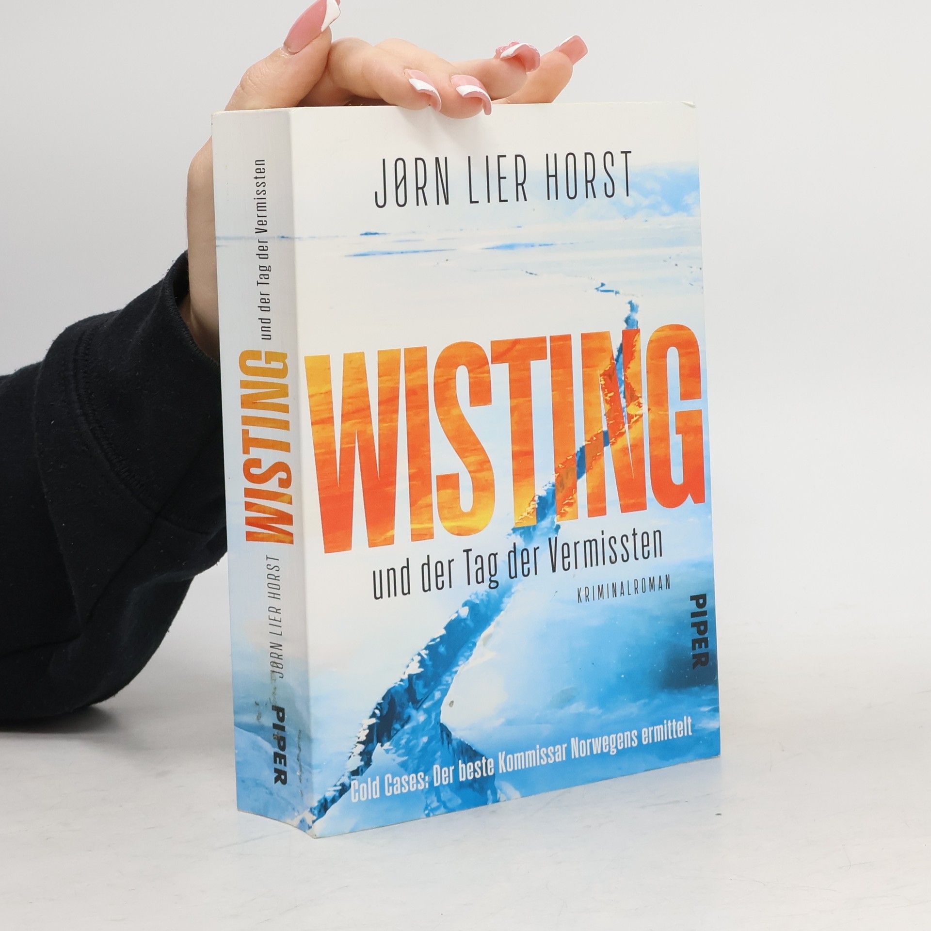 Jørn Lier Horst Wisting und der Tag der Vermissten