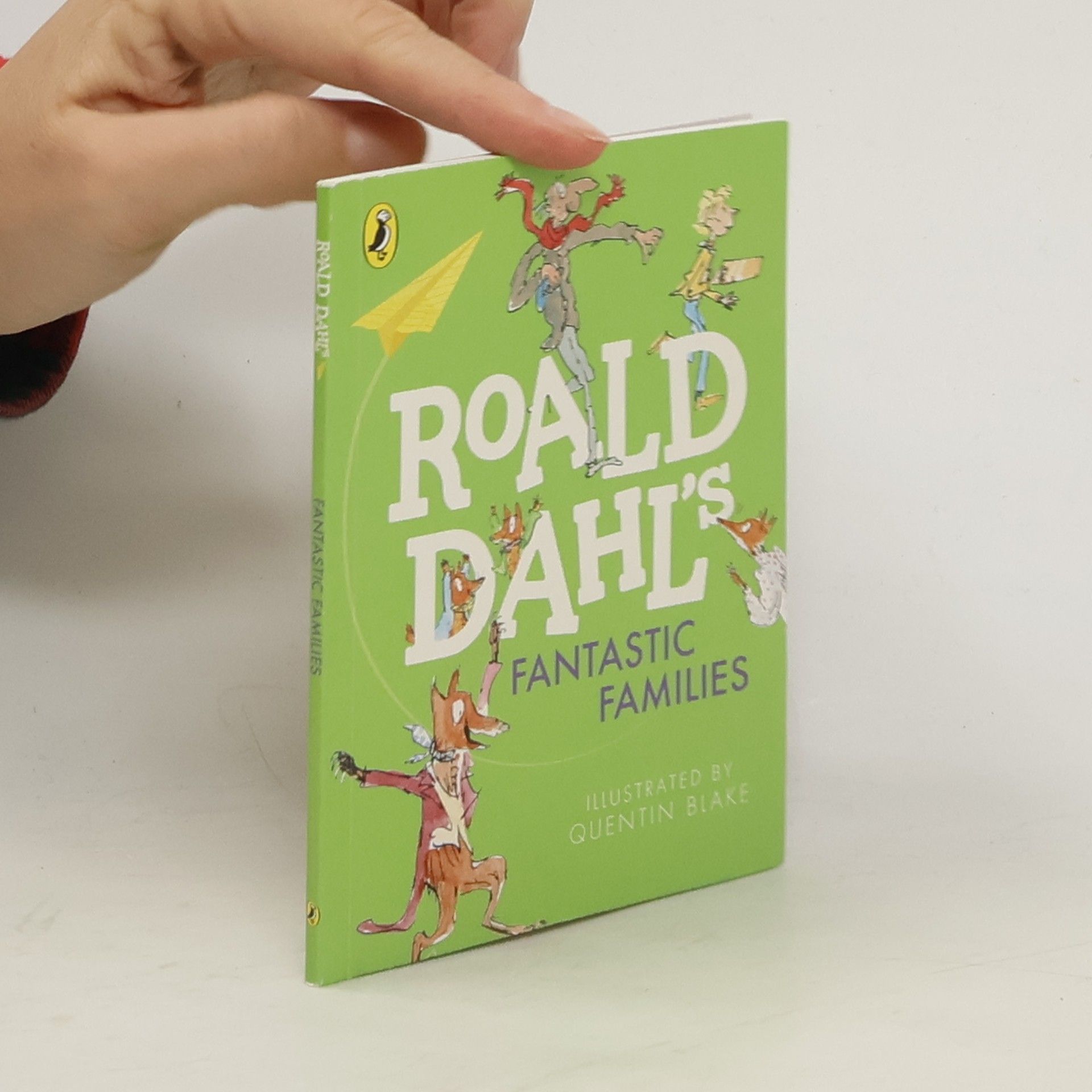 Roald Dahl Fantastic Families