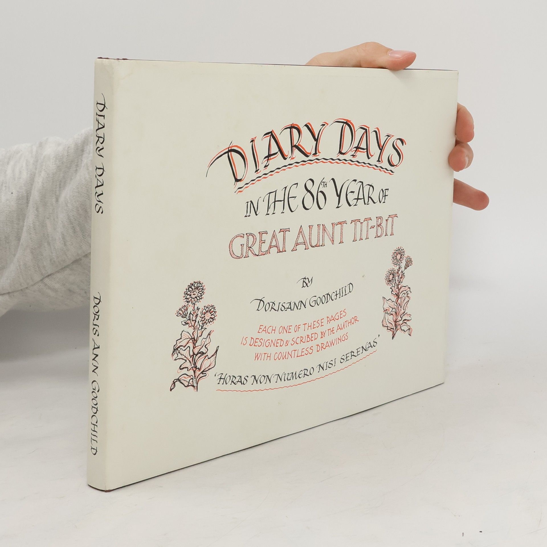 Doris Ann Goodchild Some Diary Days in the 86th Year of Great Aunt Tit-Bit