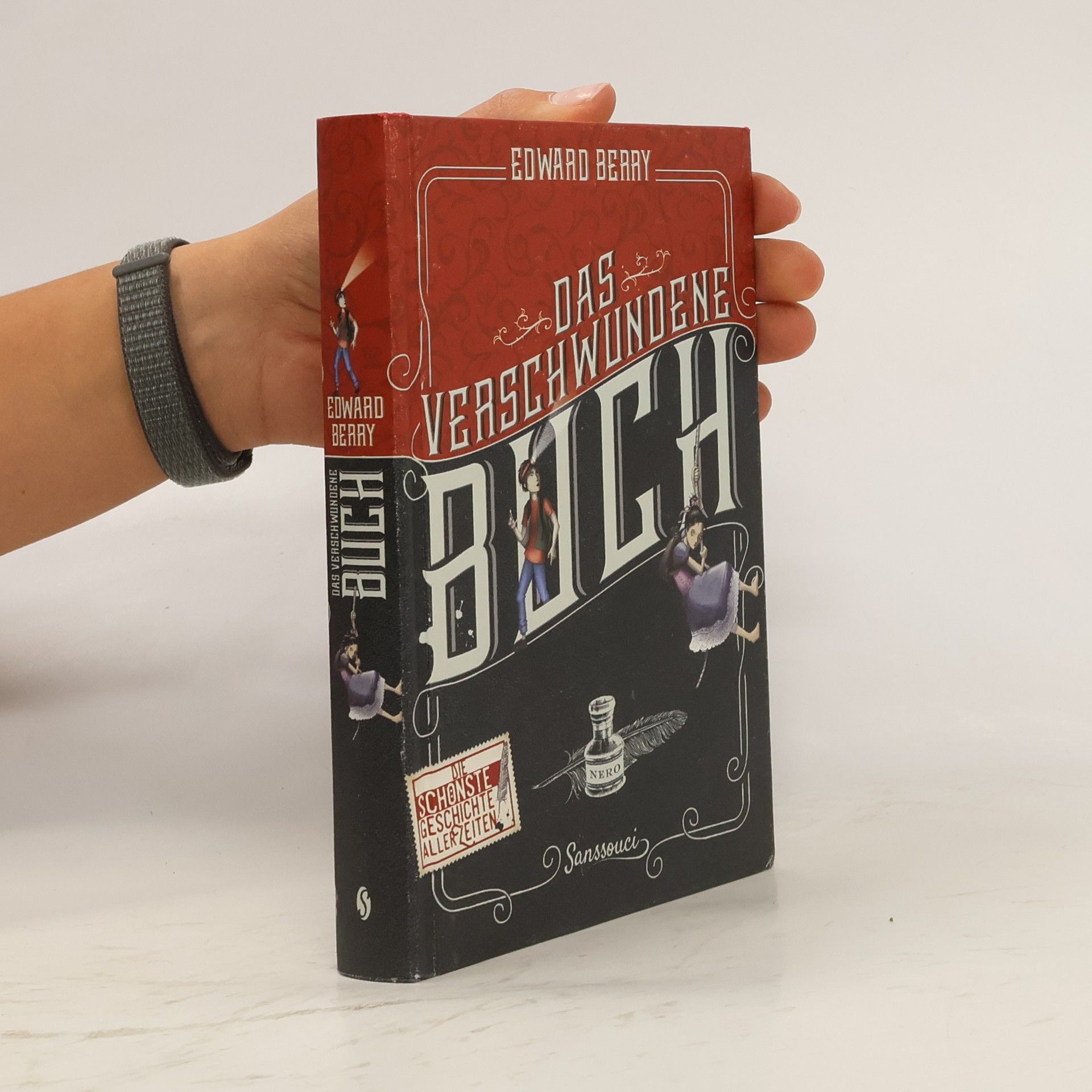 Edward Berry Das verschwundene Buch