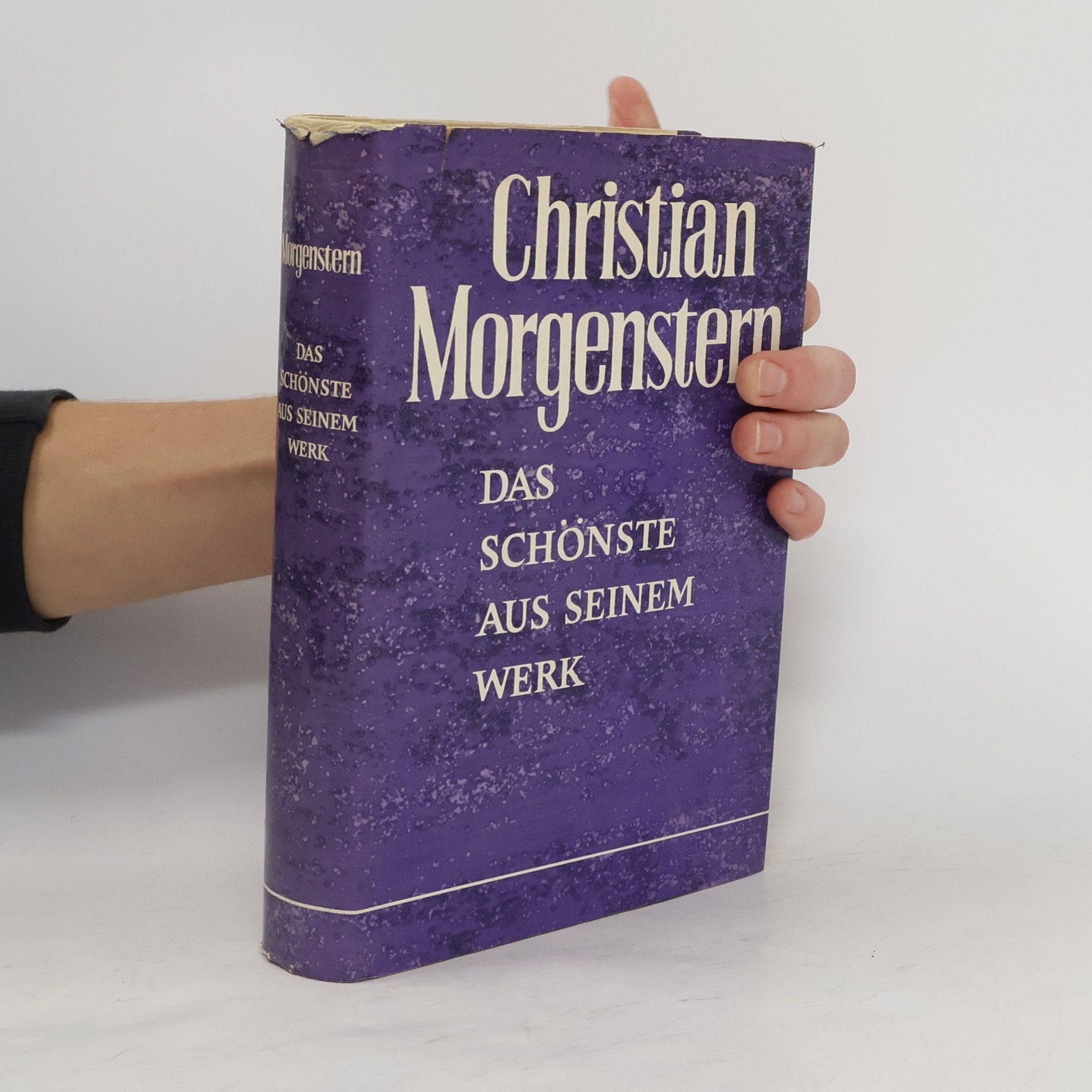 Christian Morgenstern Das schönste aus seinem Werk