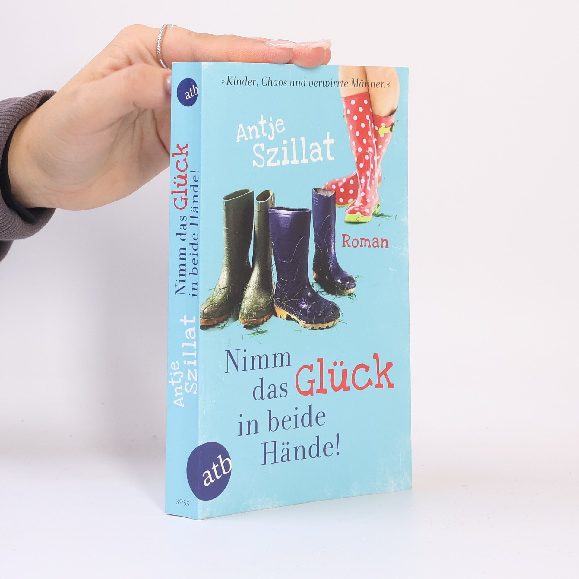 Antje Szillat Nimm das Glück in beide Hände!