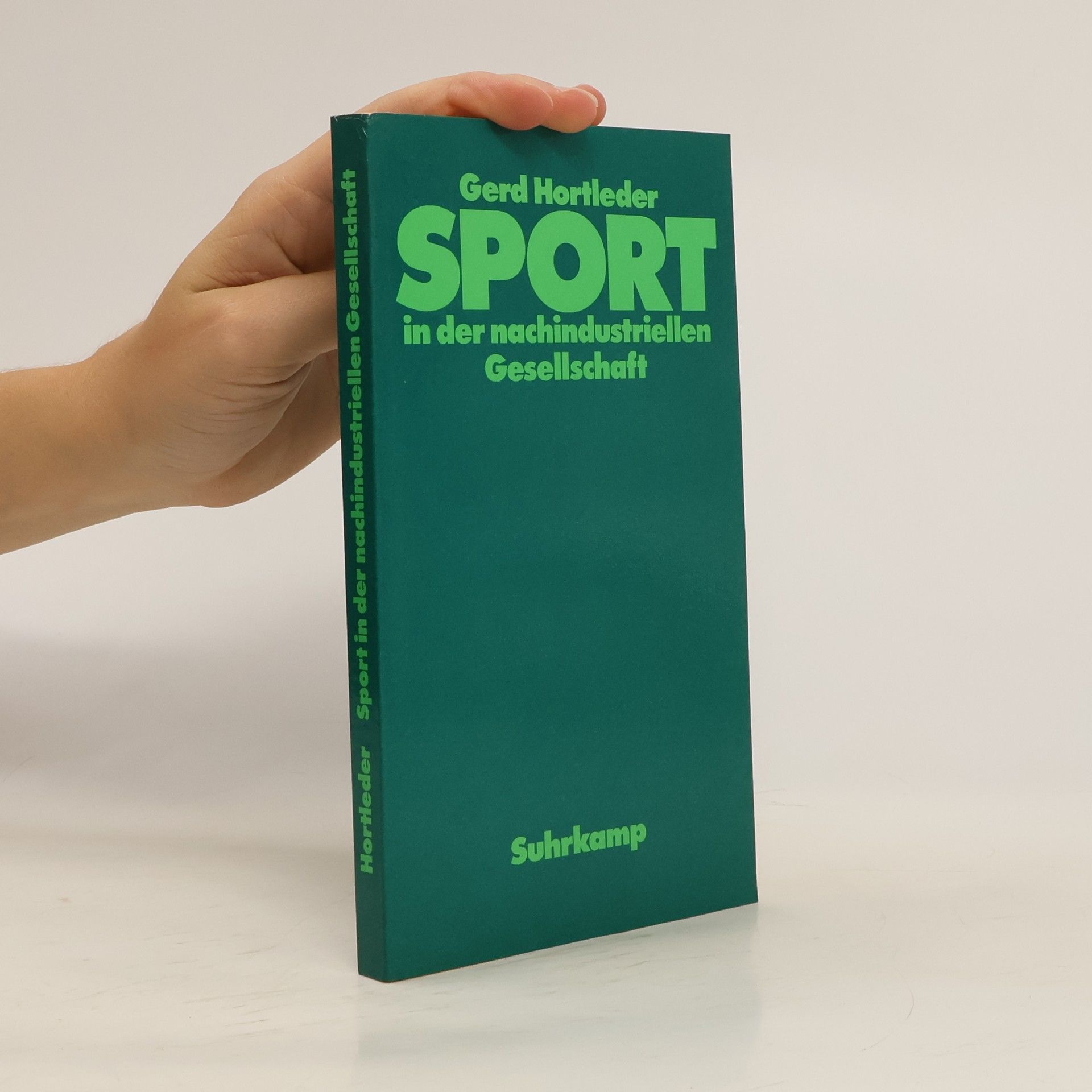 Sport in der nachindustriellen Gesellschaft