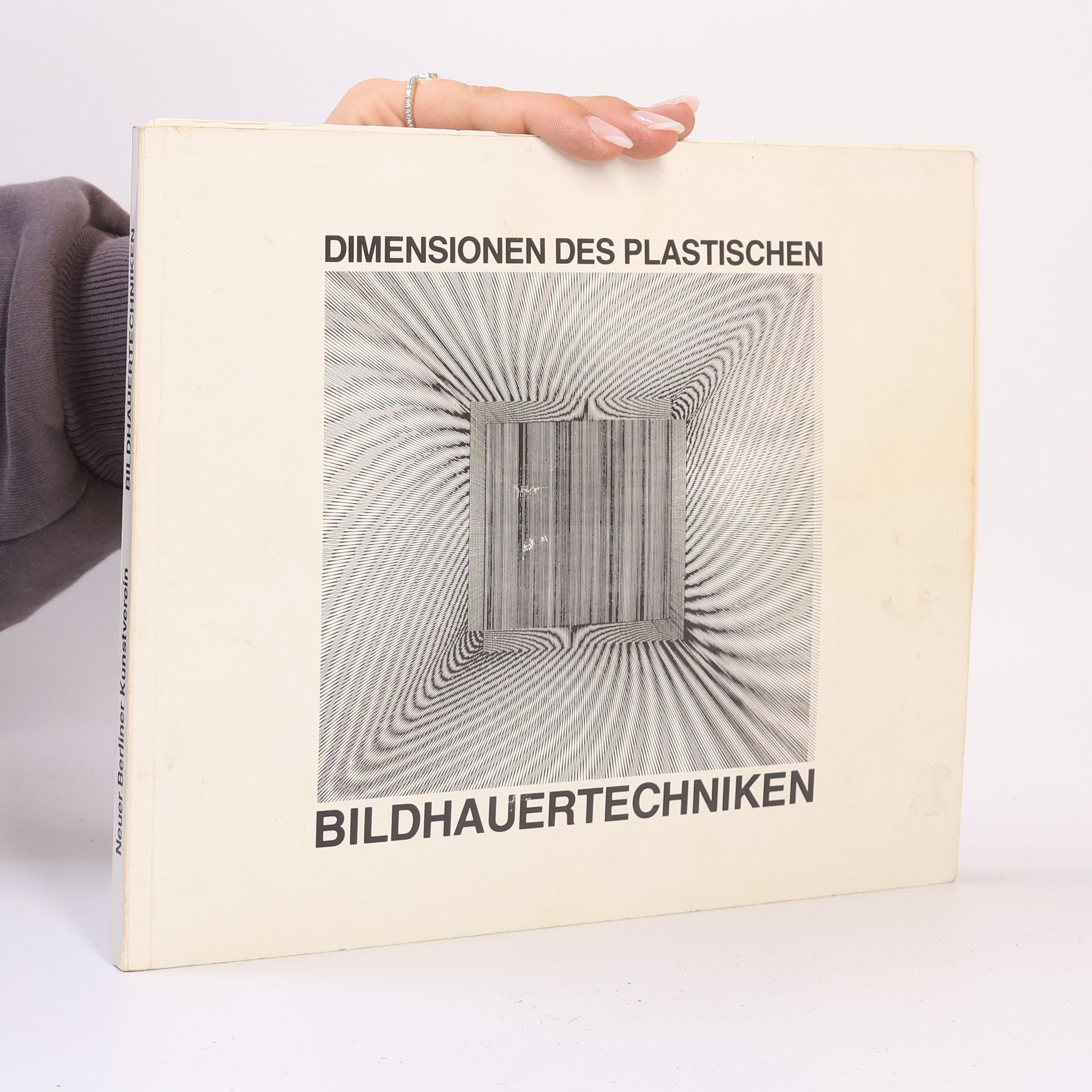 Autorenkollektiv Dimensionen des Plastischen. Bildhauertechniken.