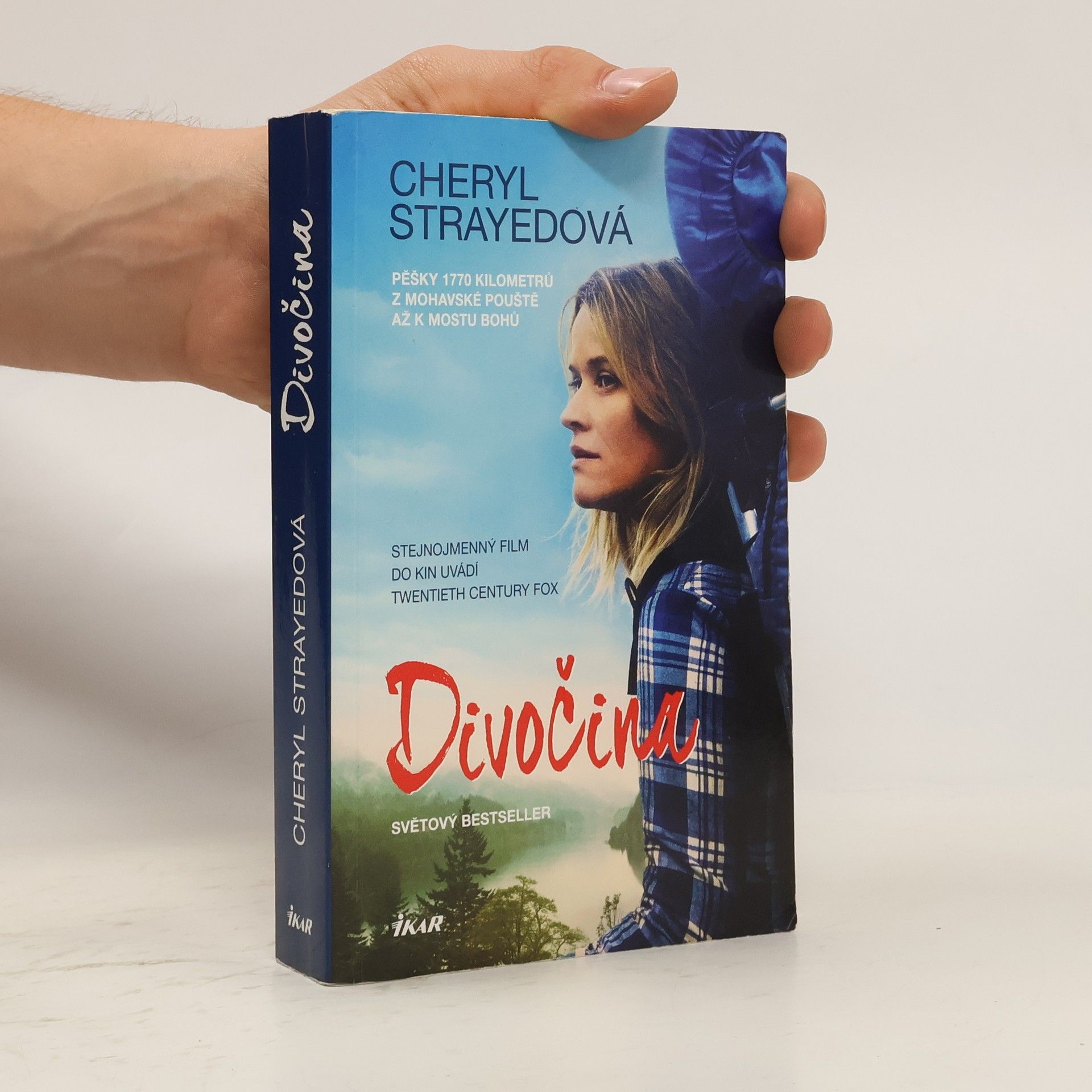 Cheryl Strayed Divočina. Pěšky 1770 kilometrů z Mohavské pouště až k mostu bohů