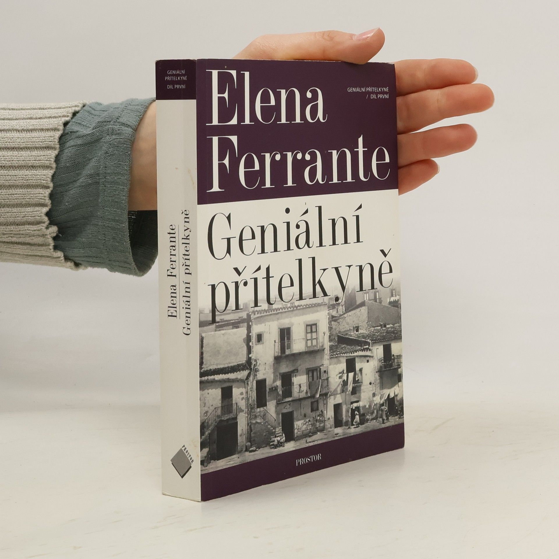 Elena Ferrante Geniální přítelkyně 1. Dětství a dospívání