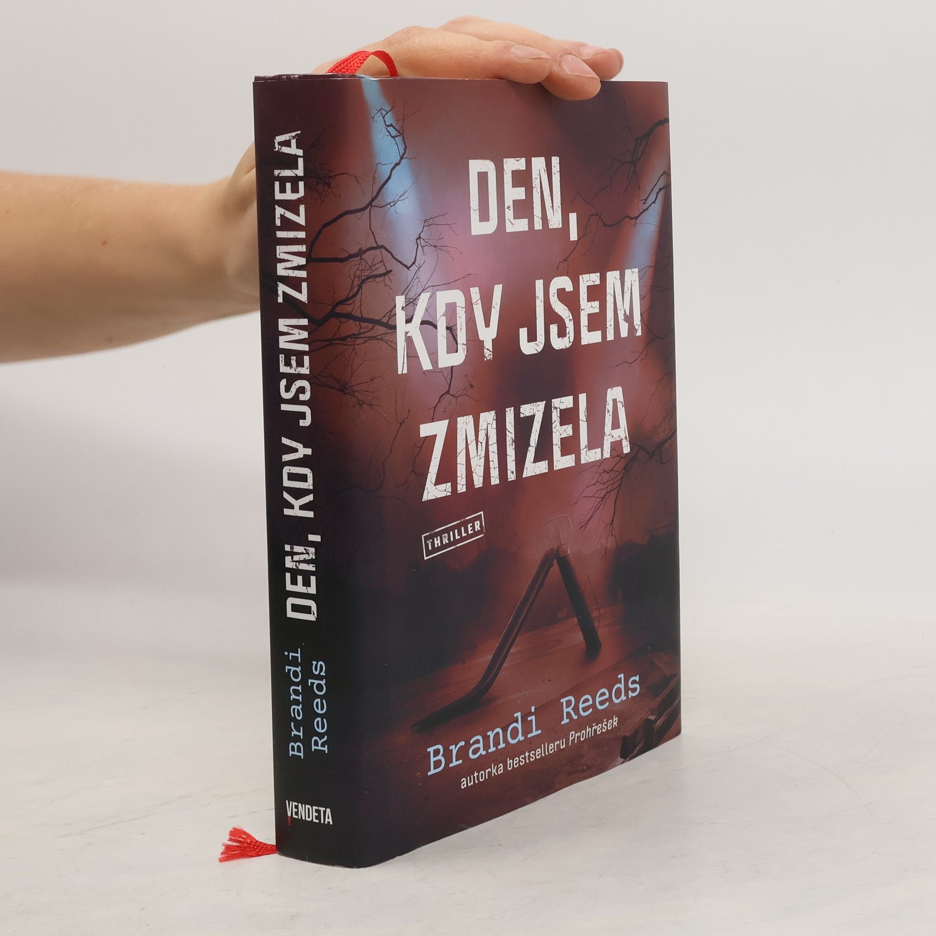 Brandi Reeds Den, kdy jsem zmizela