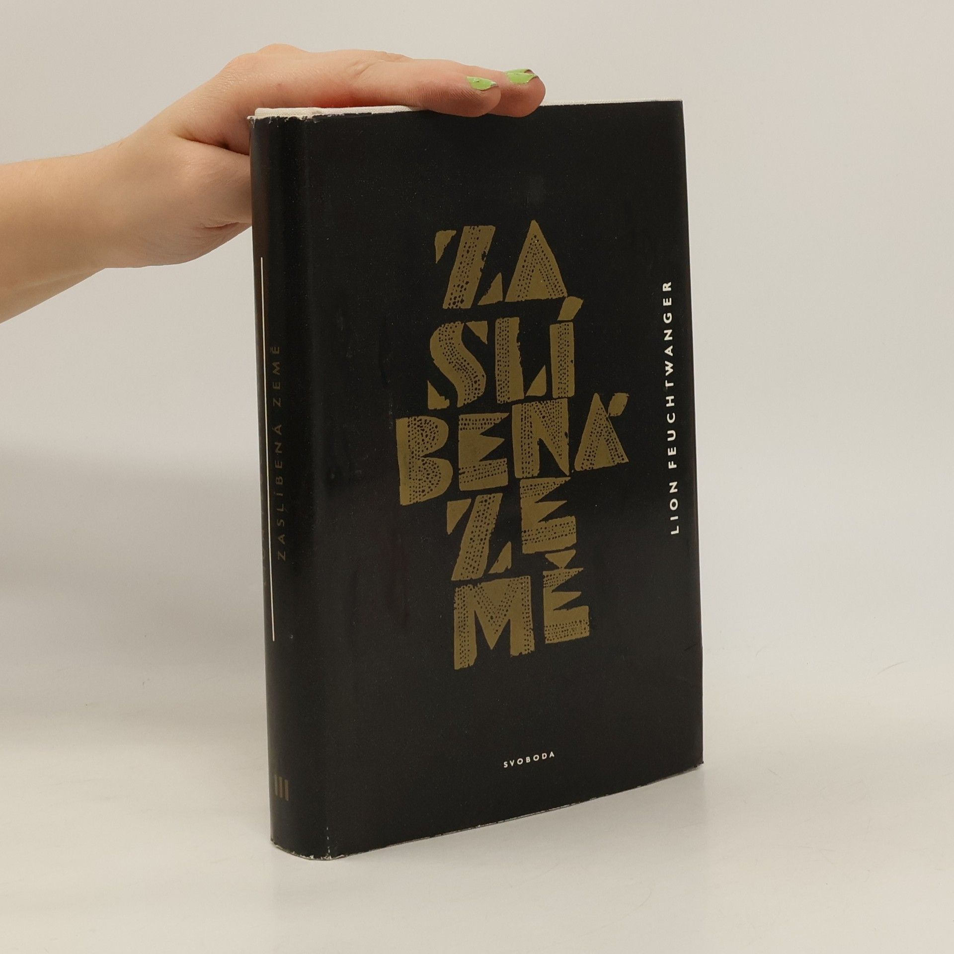 Lion Feuchtwanger Zaslíbená země