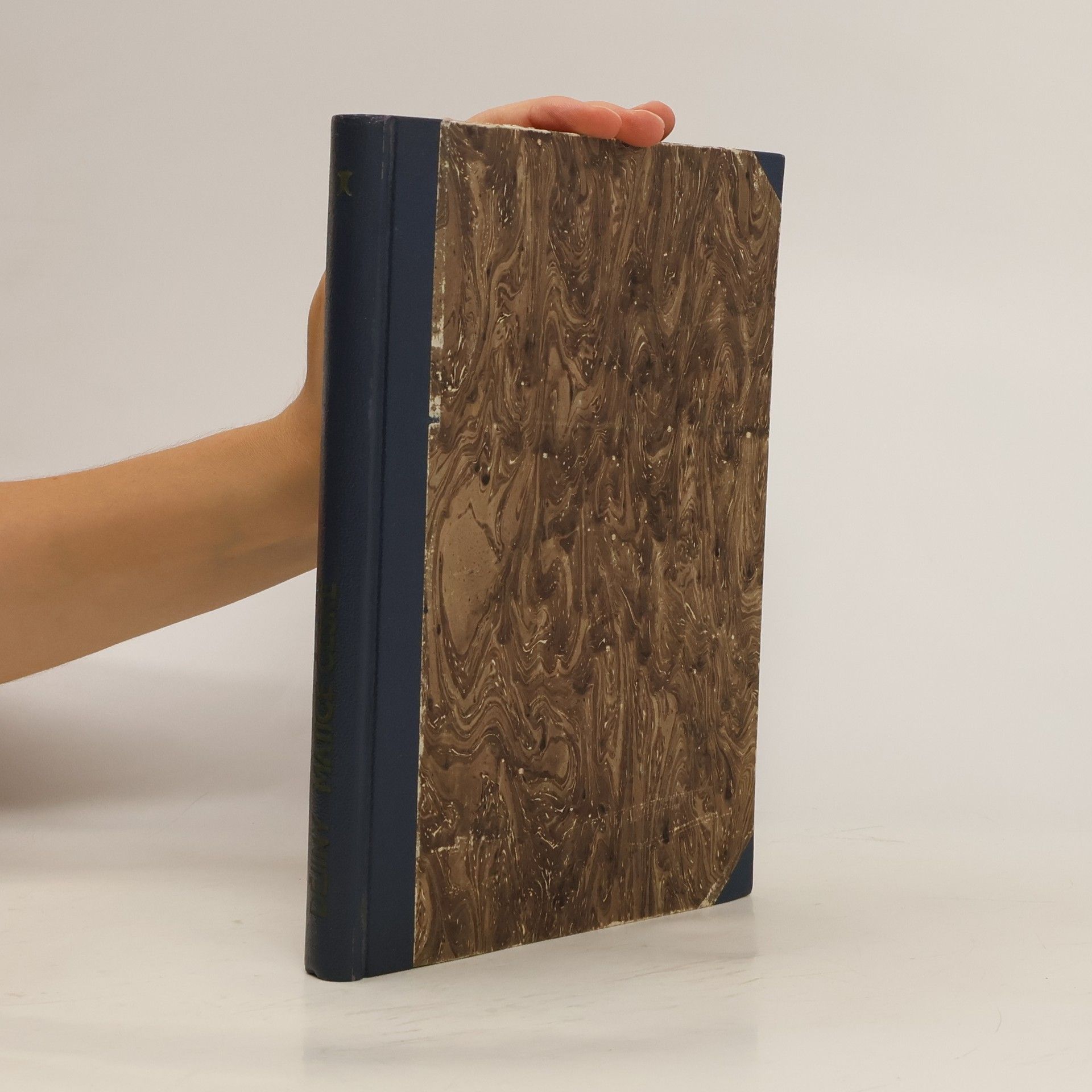 Dějiny matice české