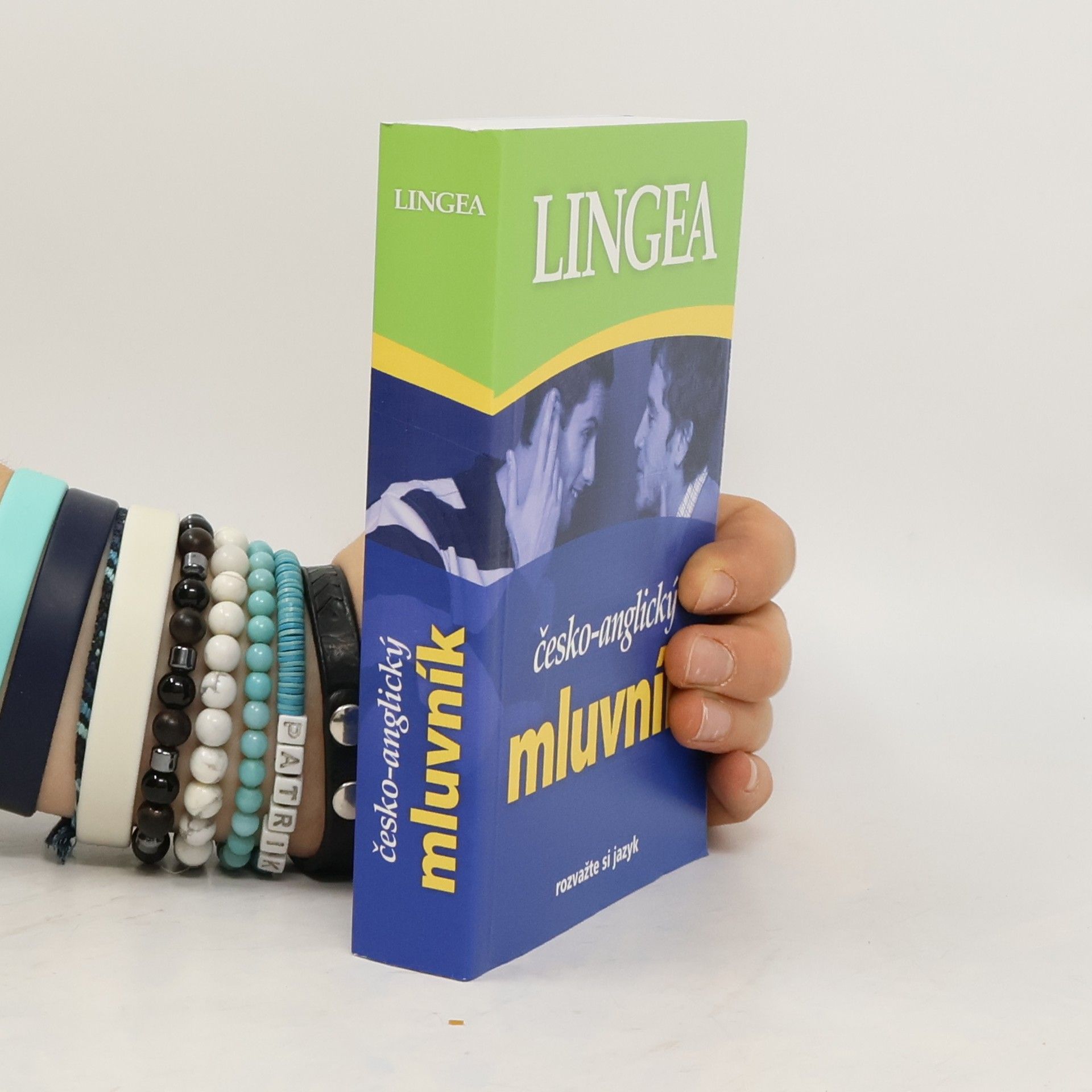 Autorenkollektiv Česko-anglický mluvník