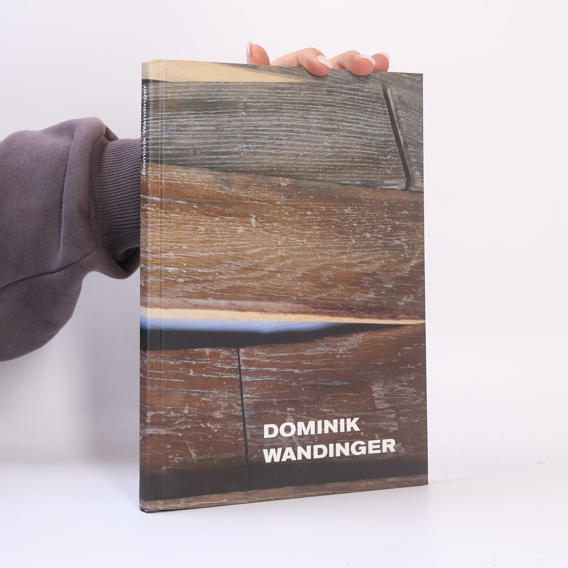 Dominik Wandinger Dominik Wandinger: Bildhauer, sculptor