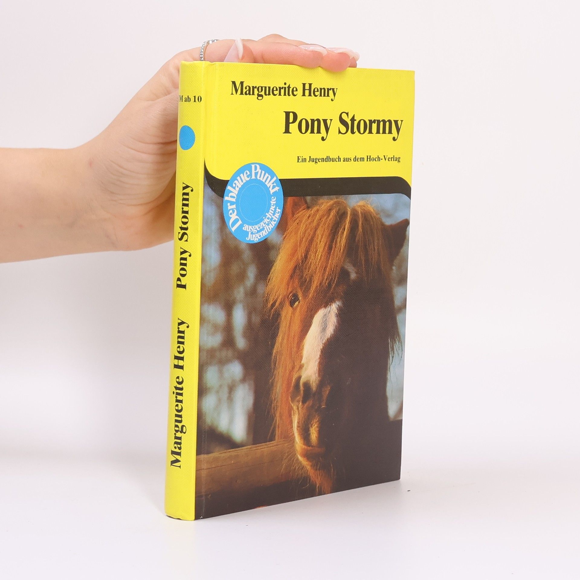 Pony Stormy