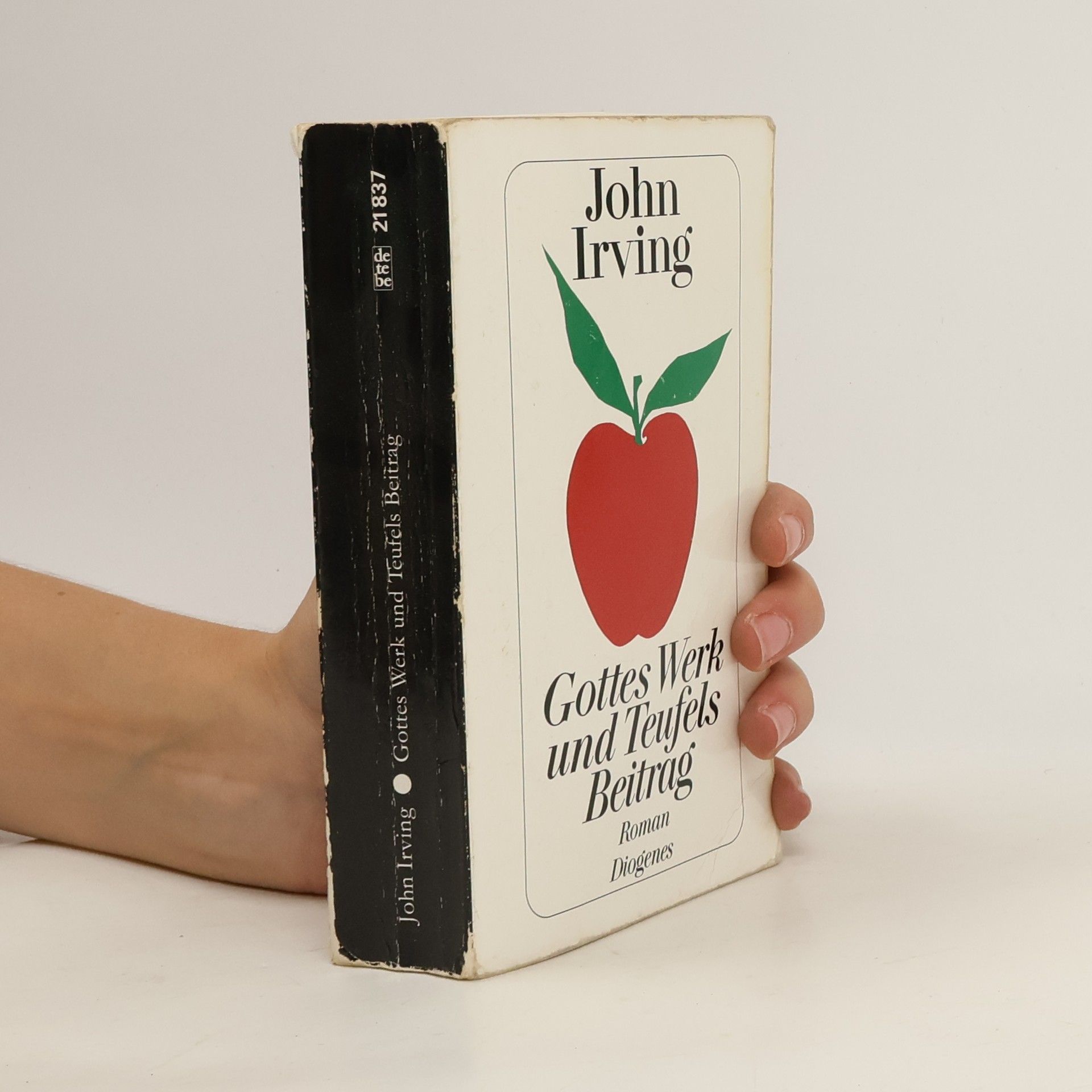 John Irving Gottes Werk und Teufels Beitrag