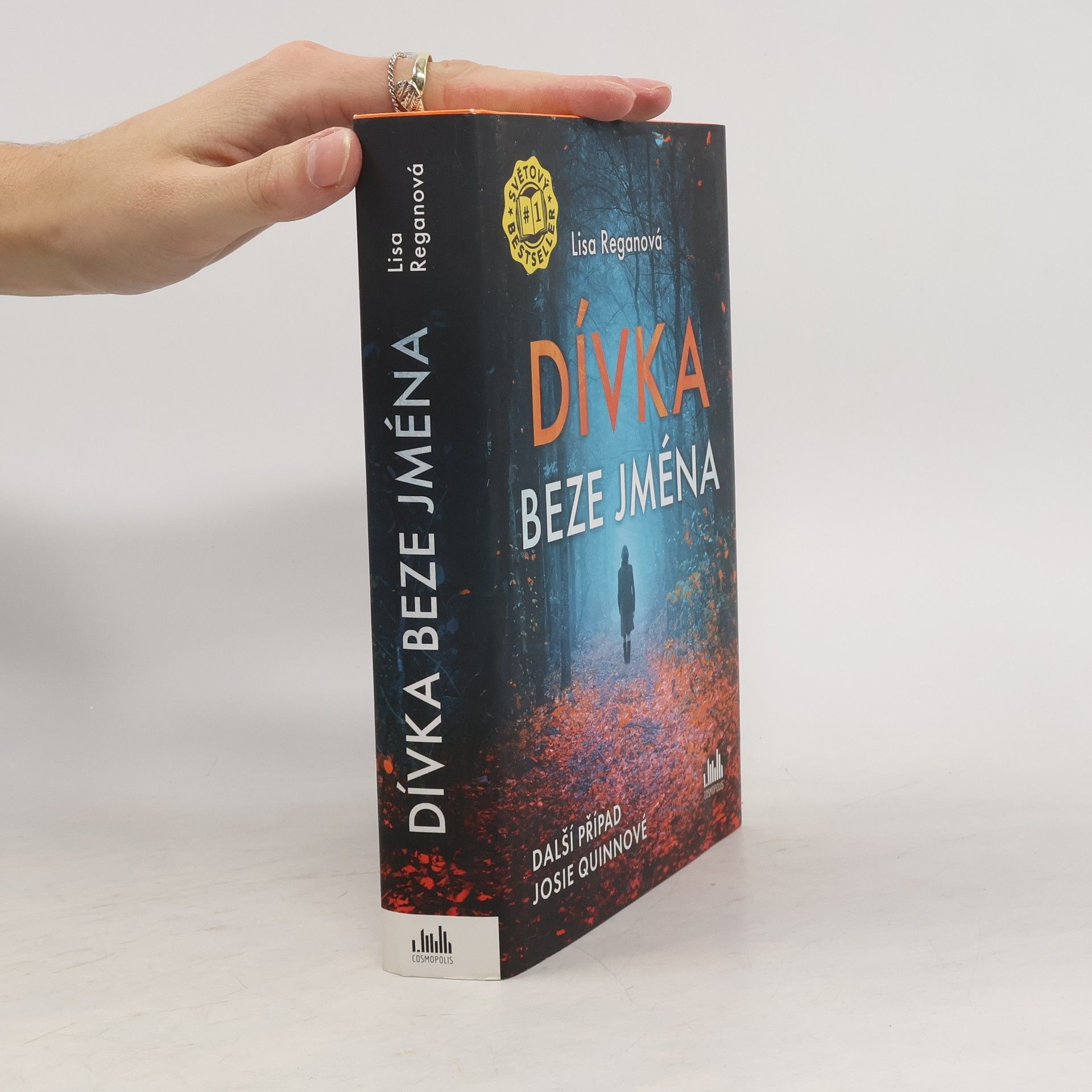 Lisa Regan Dívka beze jména: Další případ Josie Quinnové