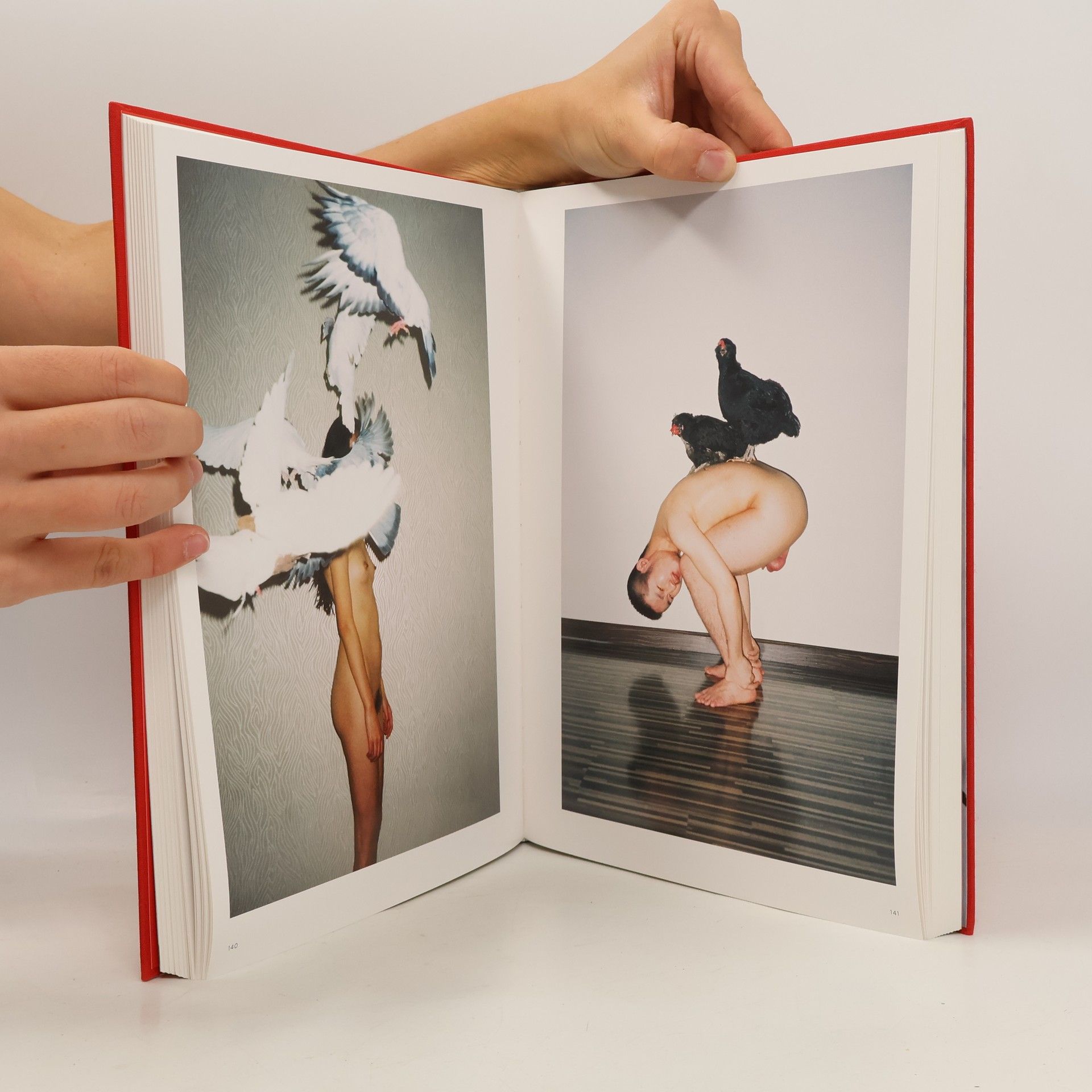 Dian Hanson Ren Hang