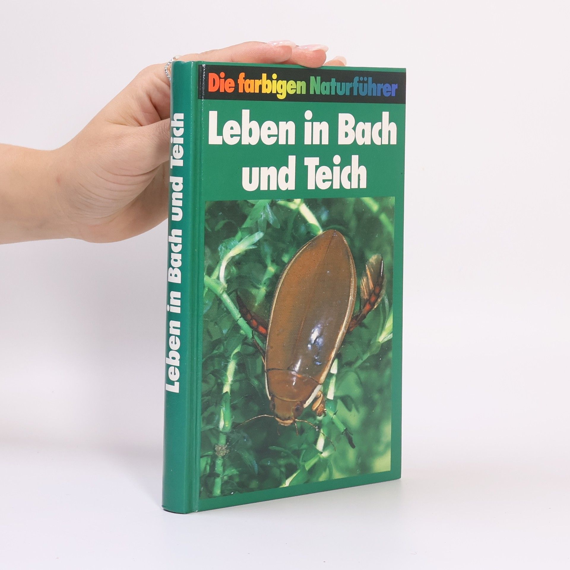 Collectif d'auteurs Die farbigen Naturführer. Leben in Bach und Teich