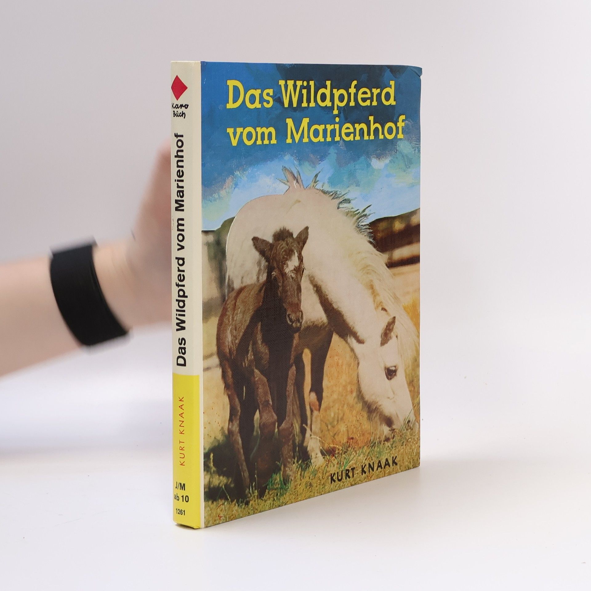 Das Wildpferd vom Marienhof