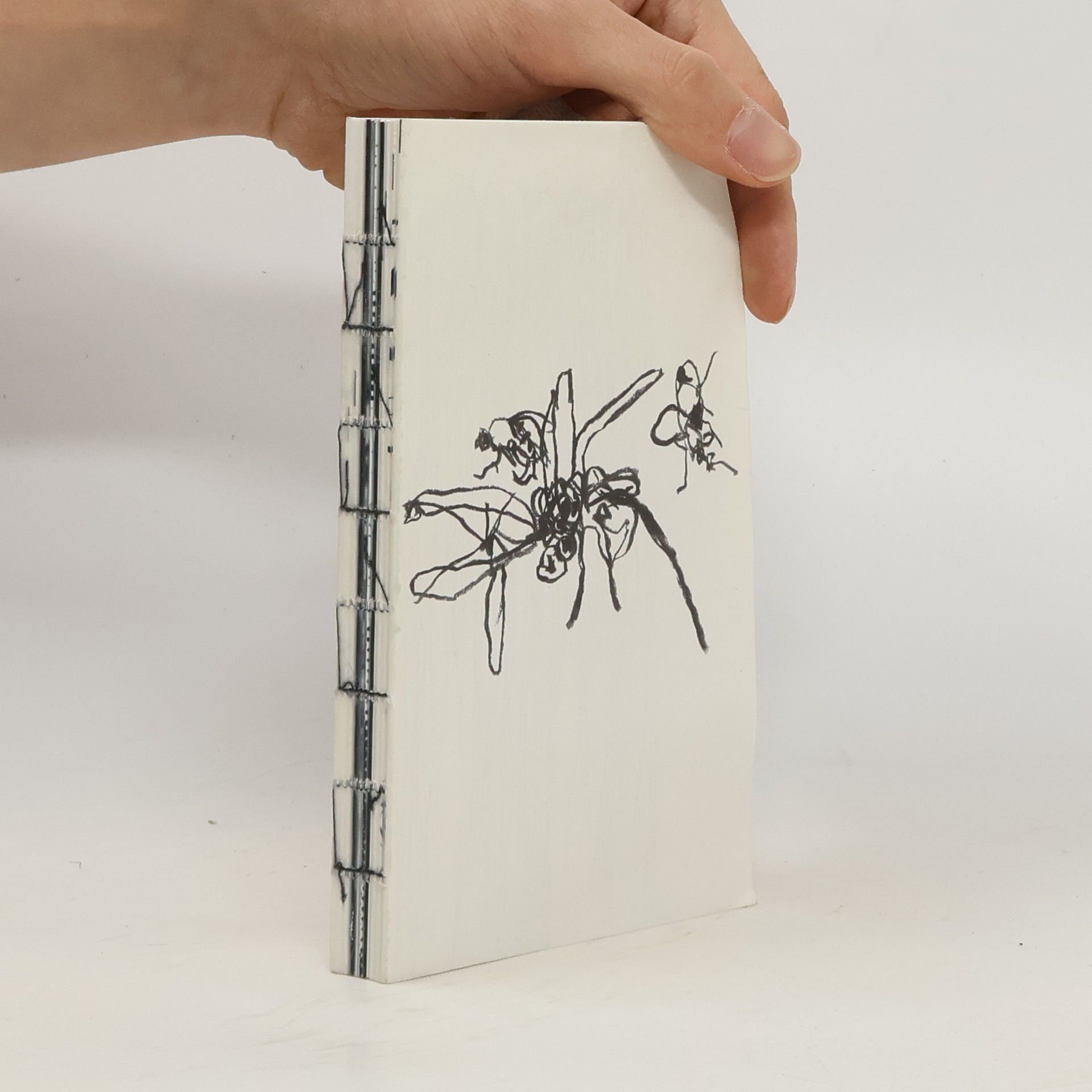 Various authors Chilltan. Shapeshifting Eternal Spirits from Central Asia