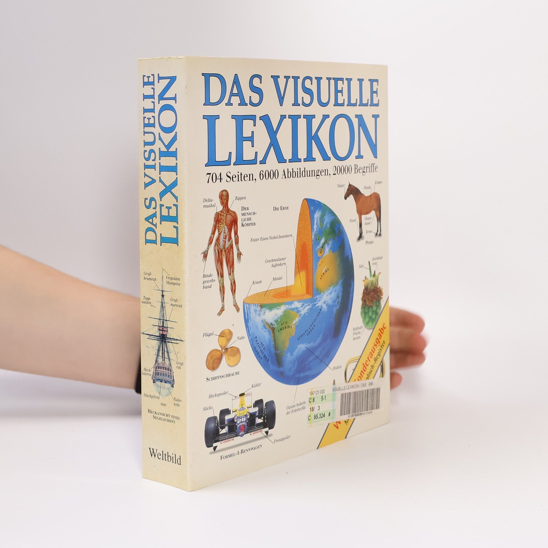 Margot Wilhelmi Das visuelle Lexikon