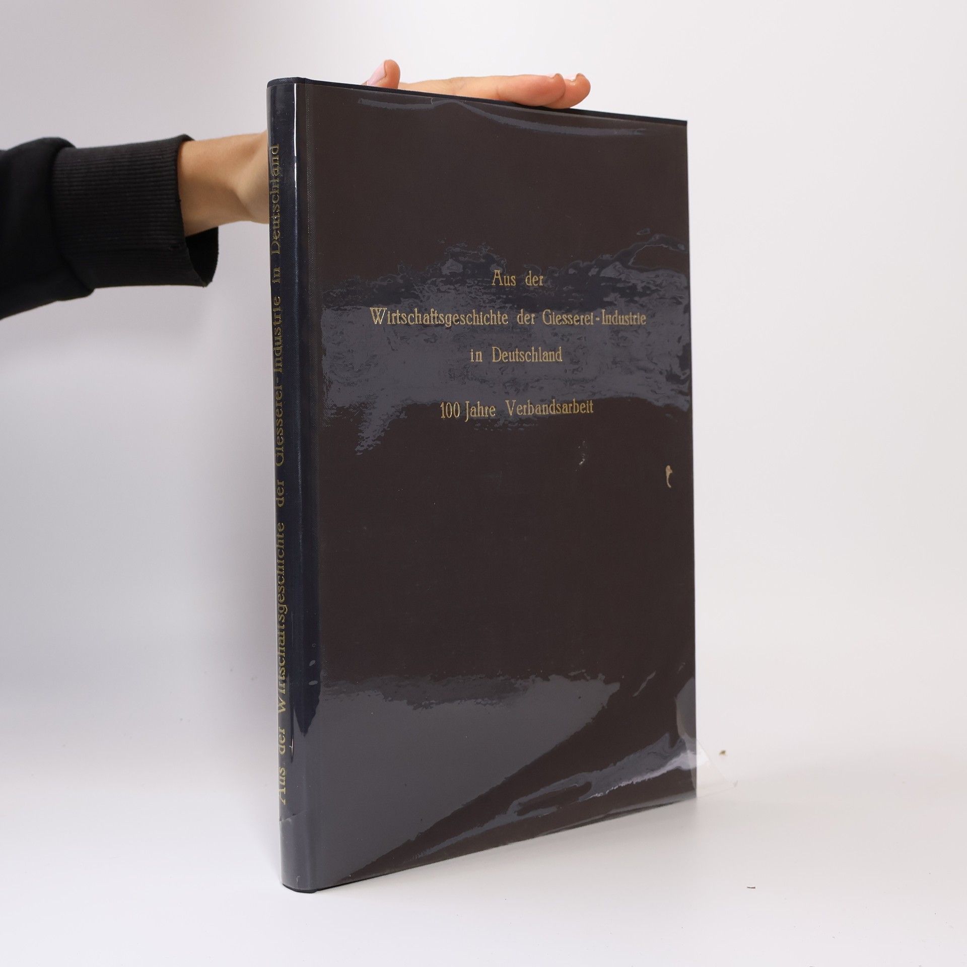 Various authors Aus der Wirtschaftsgeschichte der Gieserei-Industrie in Deutschland