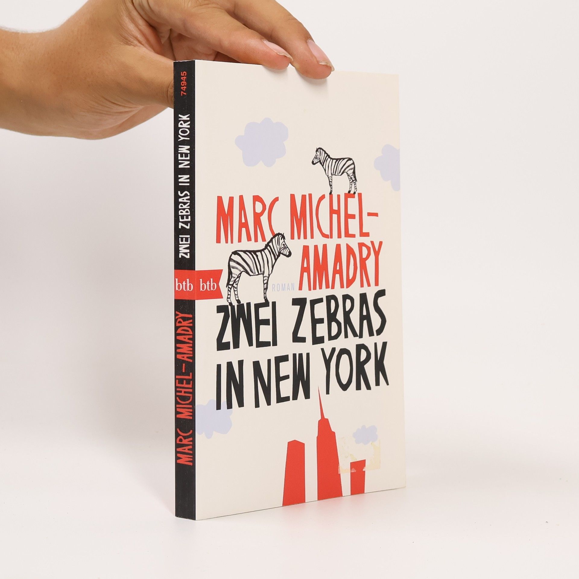 Marc Michel-Amadry Zwei Zebras in New York