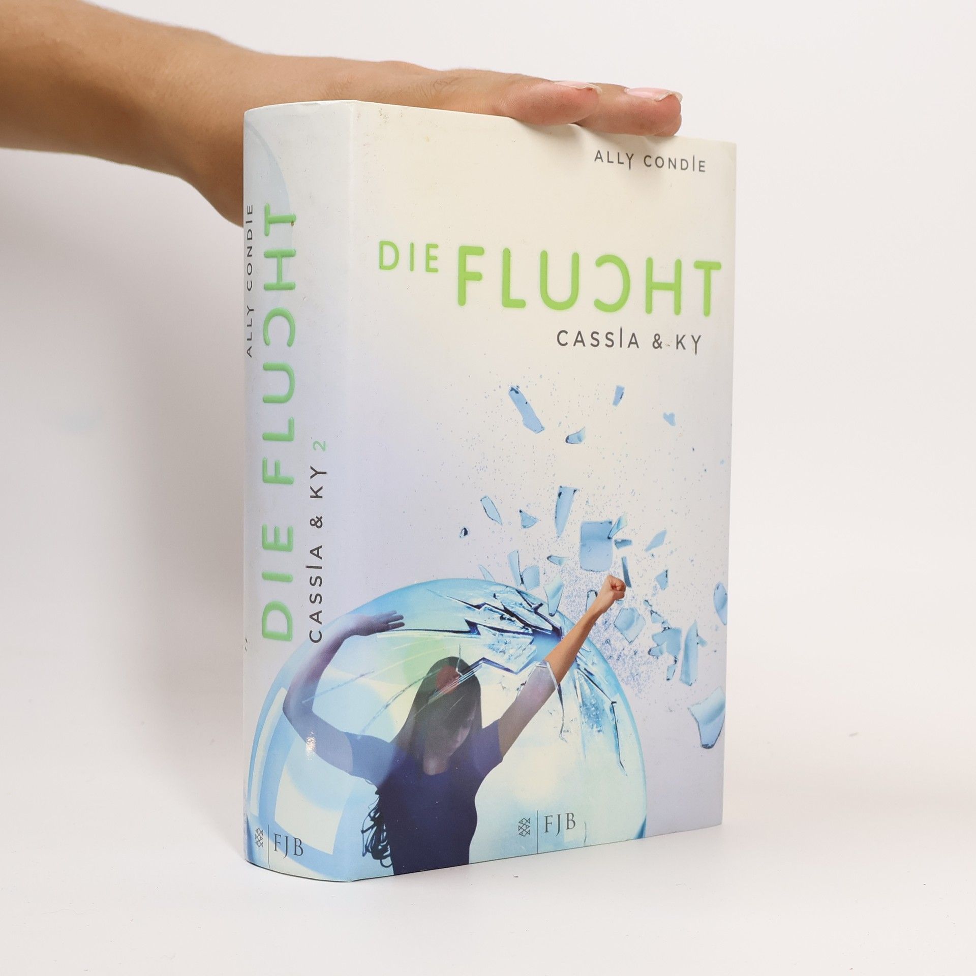 Allyson Braithwaite Condie Die Flucht