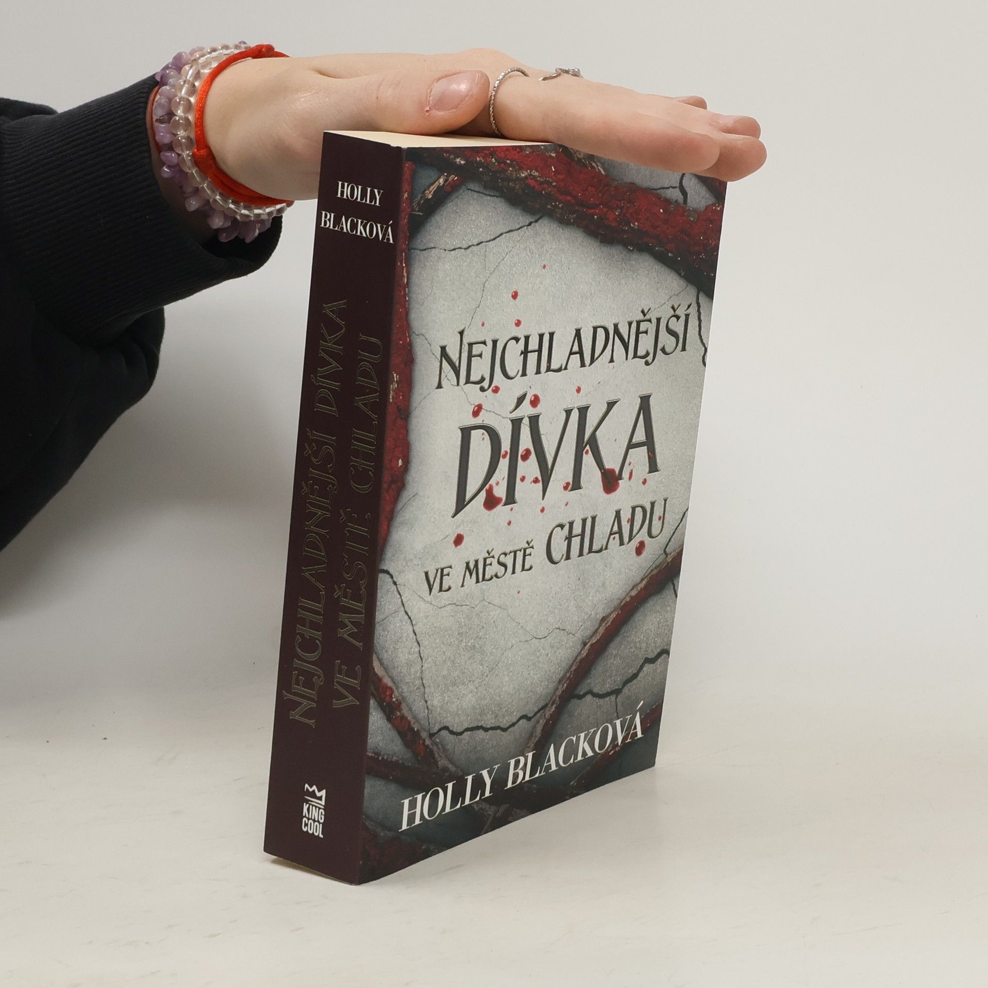 Holly Black Nejchladnější dívka ve městě chladu