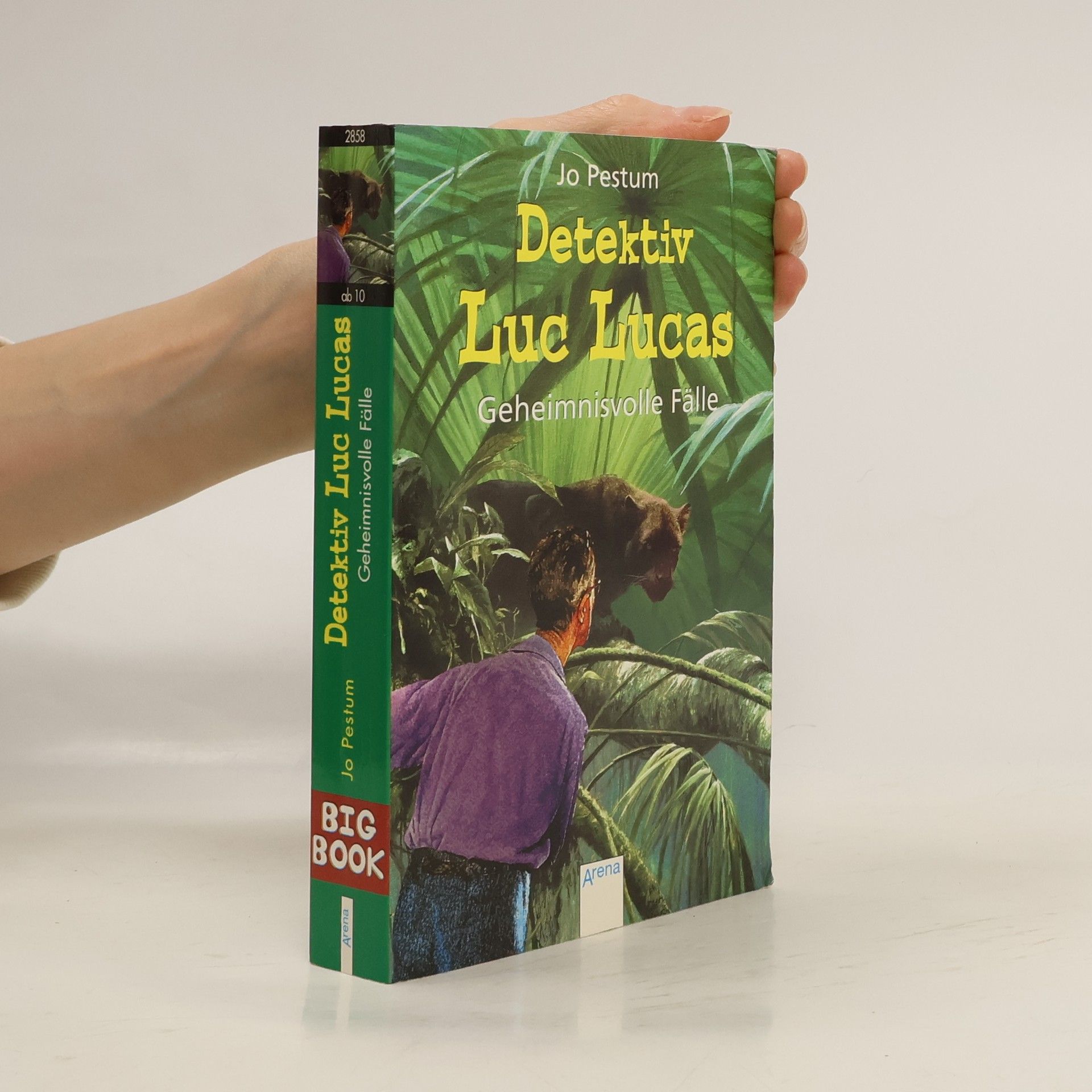 Jo Pestum Detektiv Luc Lucas - geheimnisvolle Fälle