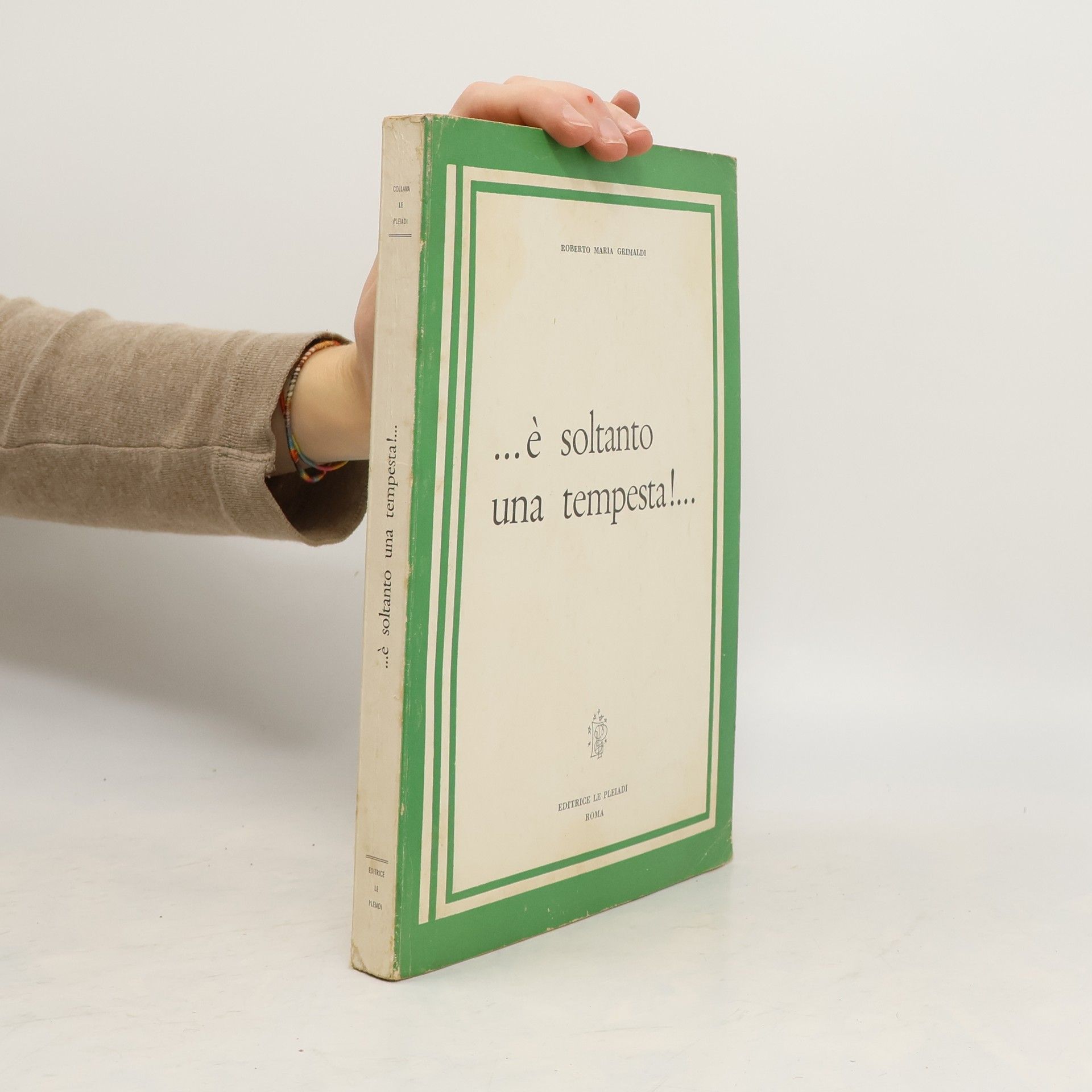 Roberto Maria Grimaldi ...è soltanto una tempesta!..