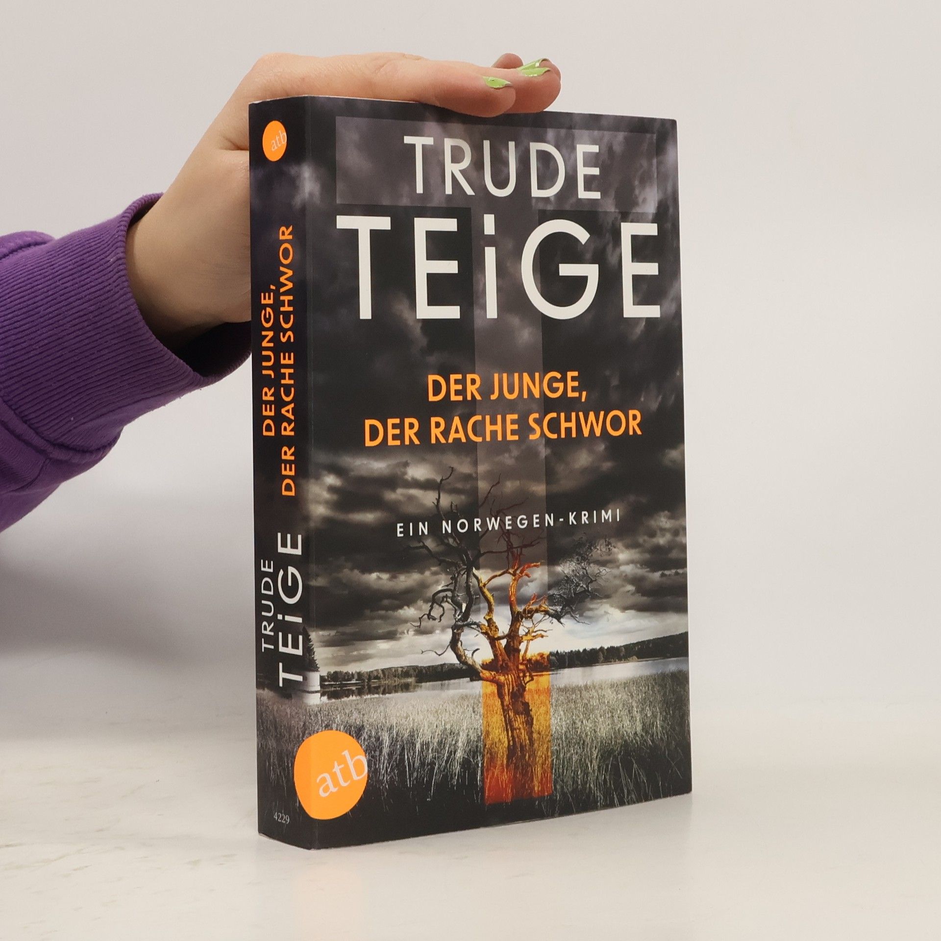 Trude Teige Der Junge, der Rache schwor