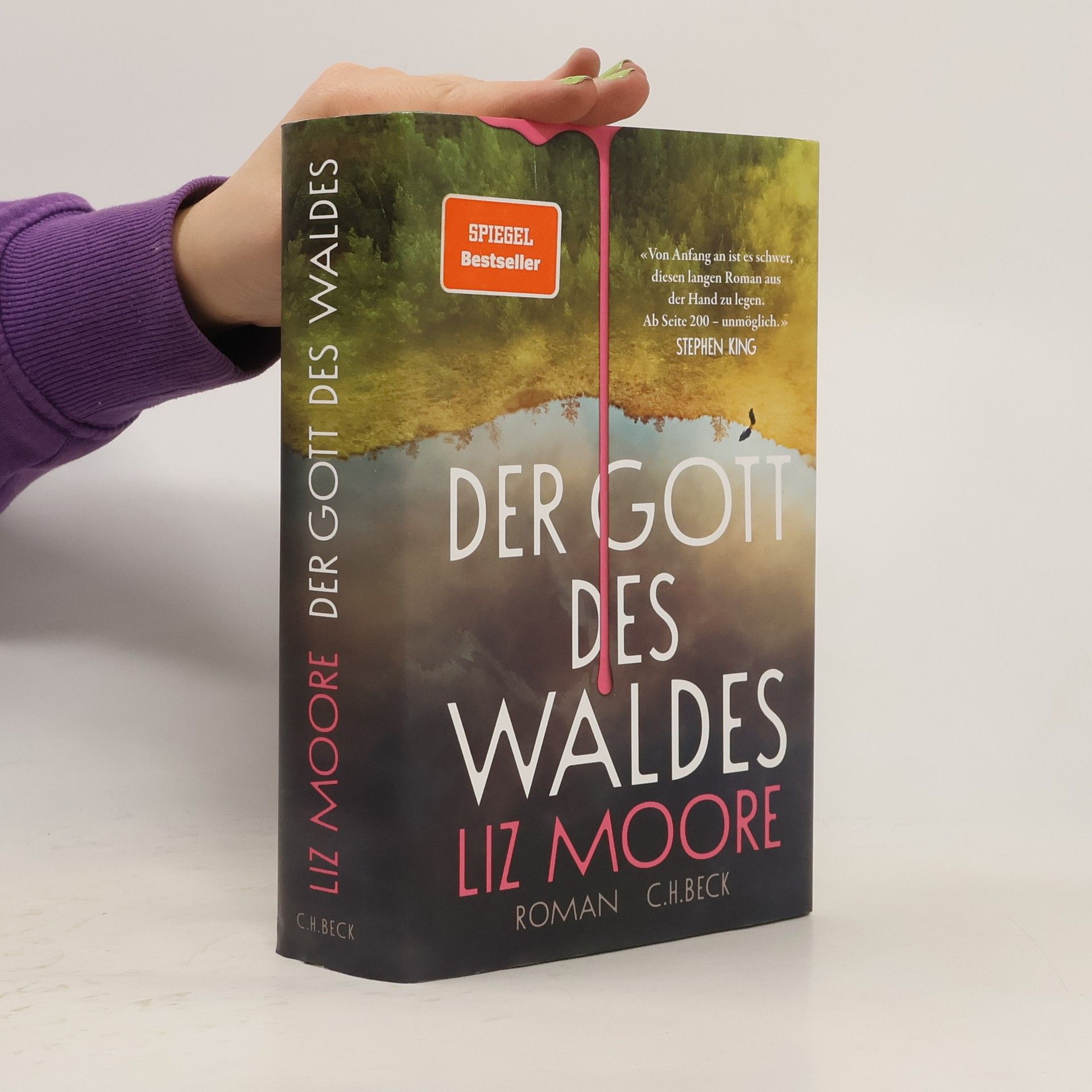 Liz Moore Der Gott des Waldes