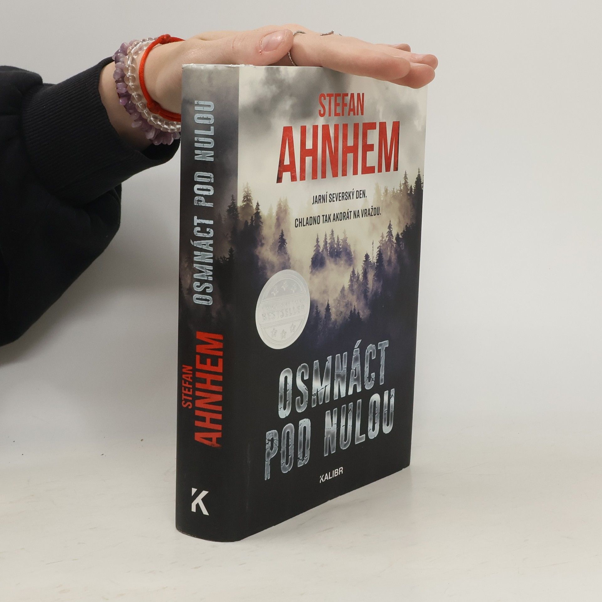 Stefan Ahnhem Osmnáct pod nulou