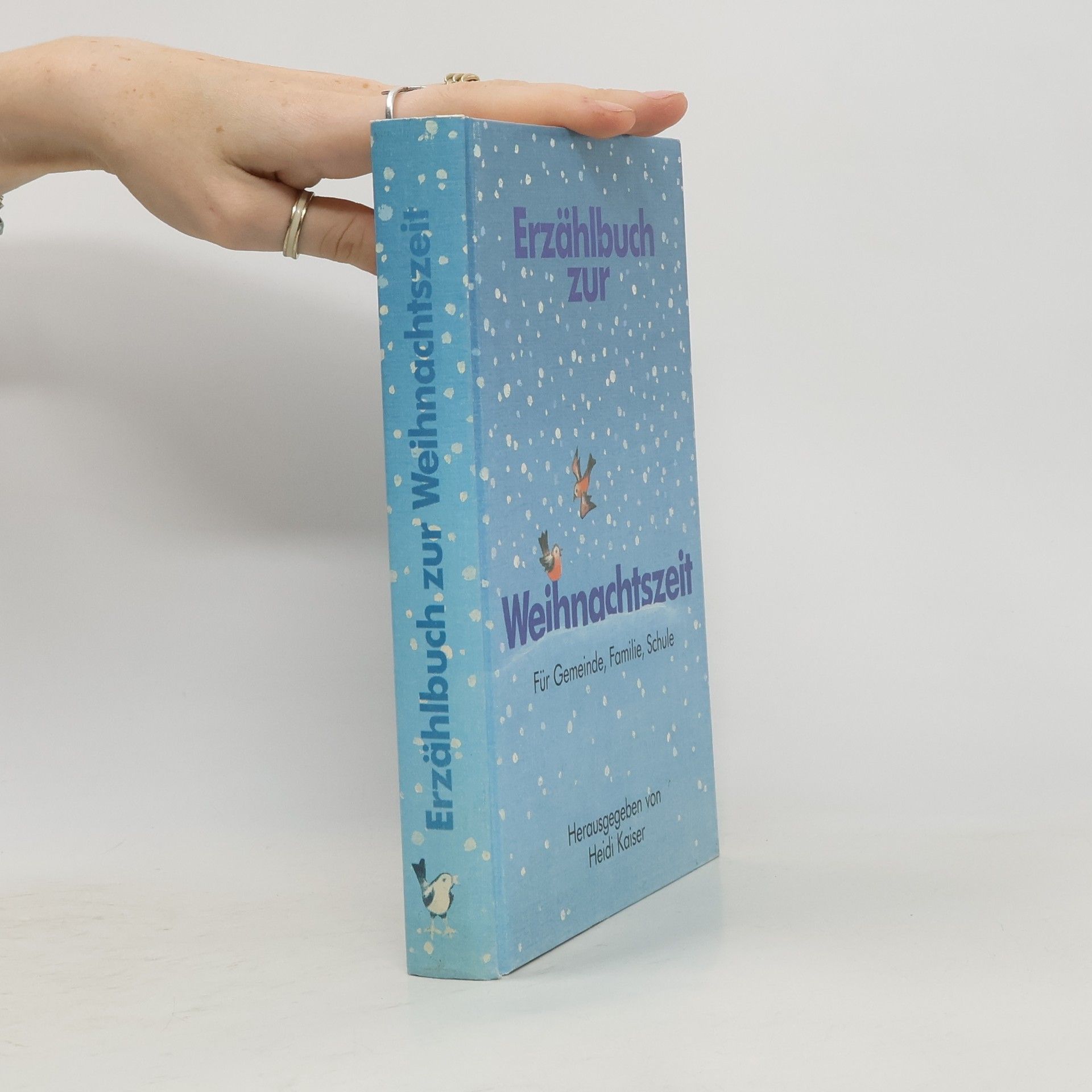 Erzählbuch zur Weihnachtszeit für Gemeinde, Schule und Familie