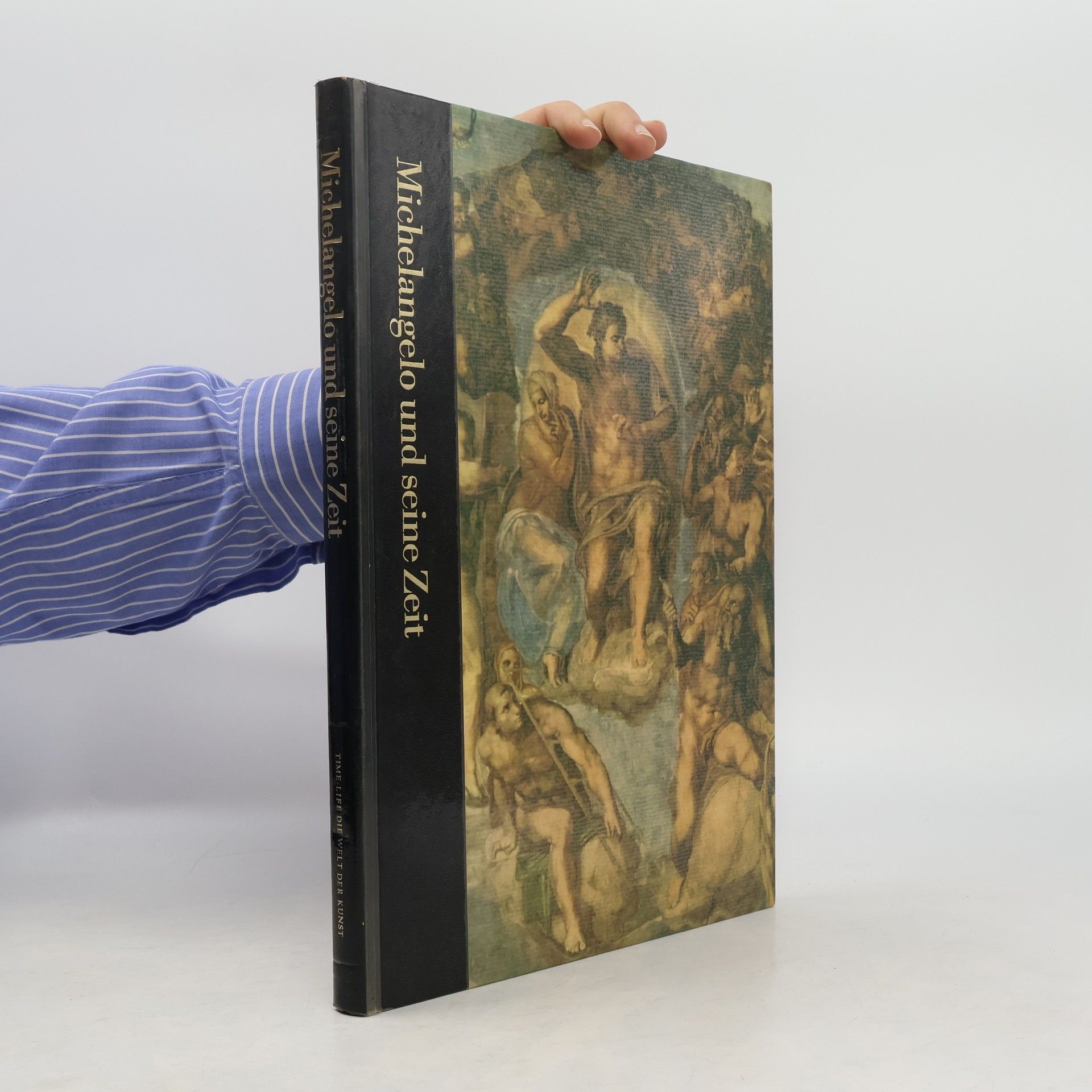 Kolektiv autorů Michelangelo und seine Zeit